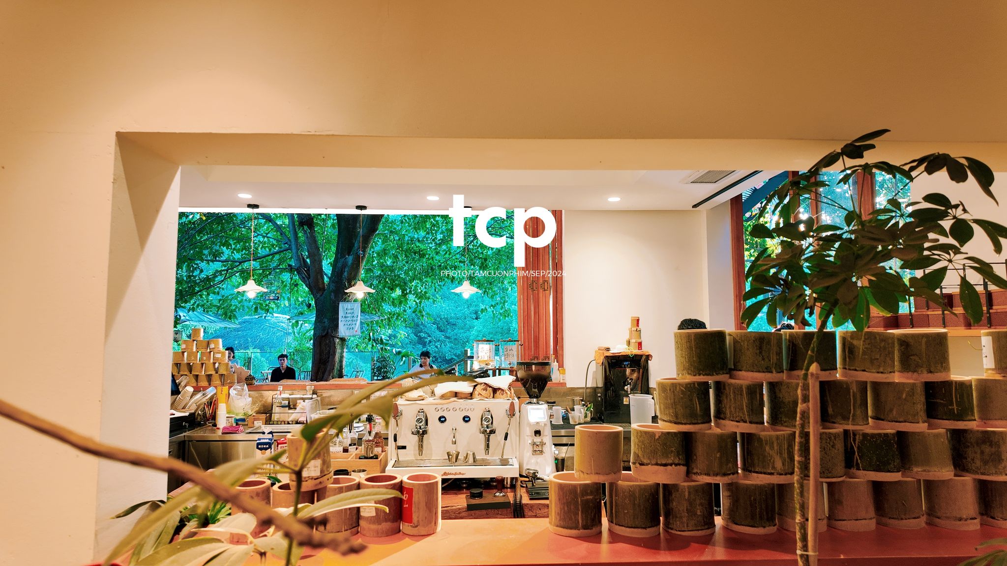 Tám Cuộn Phim - Lần đầu ghé quán đúng lúc nắng đẹp