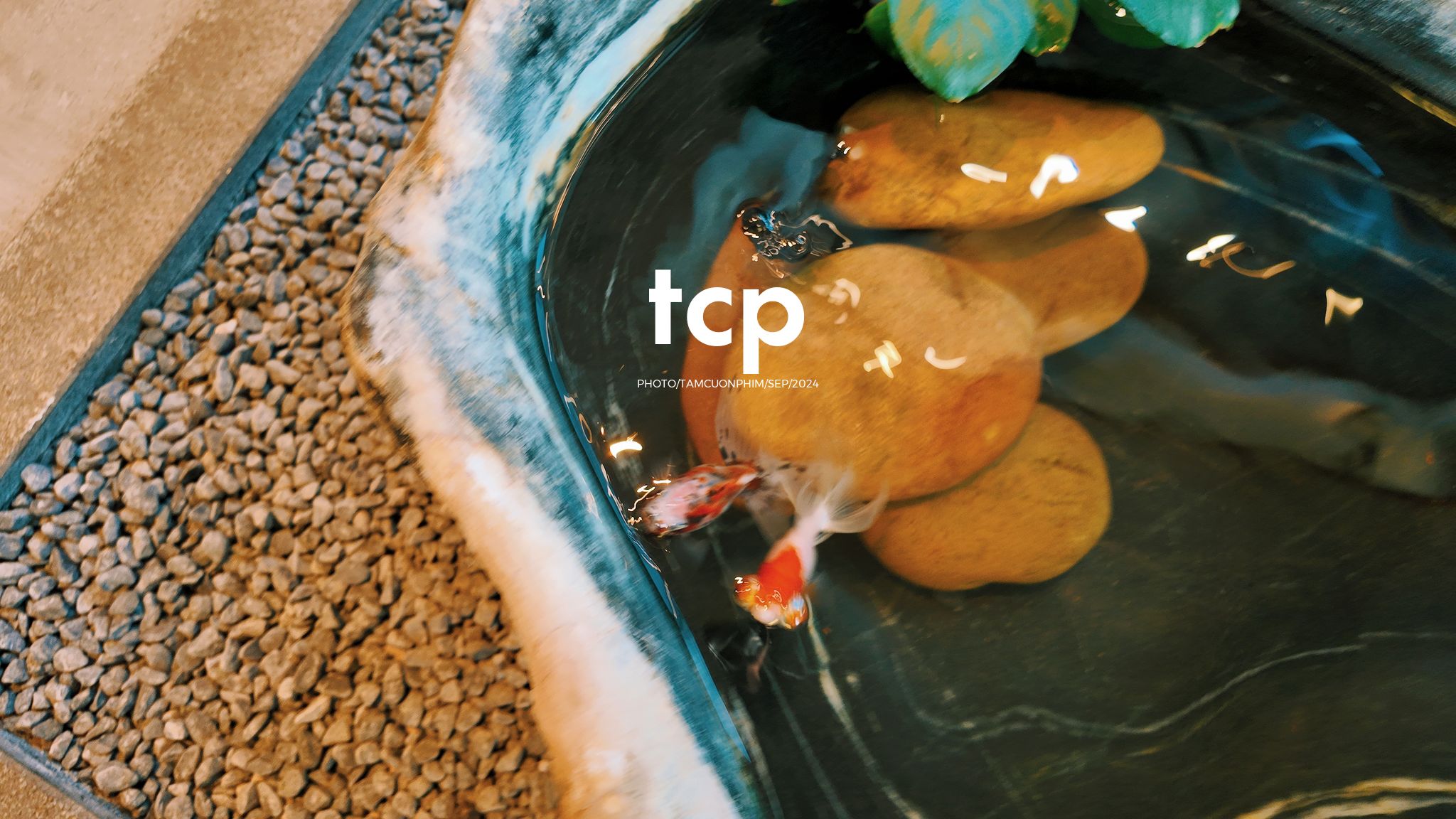 Tám Cuộn Phim - Lần đầu ghé quán đúng lúc nắng đẹp