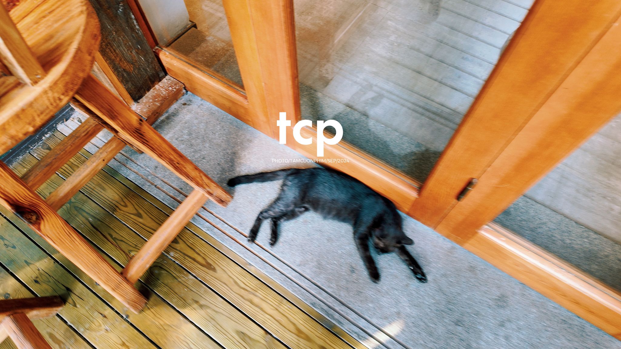 Tám Cuộn Phim - Lần đầu ghé quán đúng lúc nắng đẹp