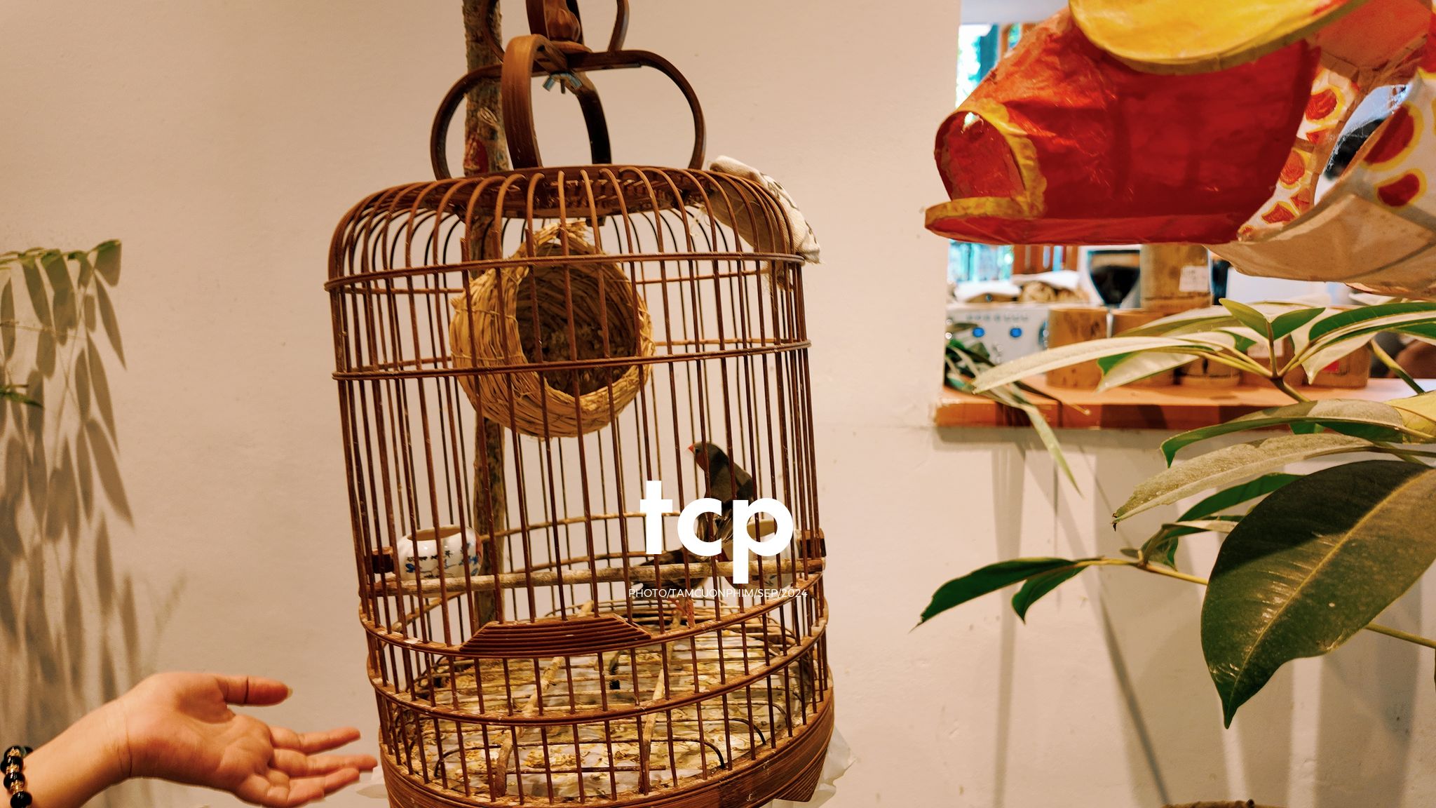 Tám Cuộn Phim - Lần đầu ghé quán đúng lúc nắng đẹp