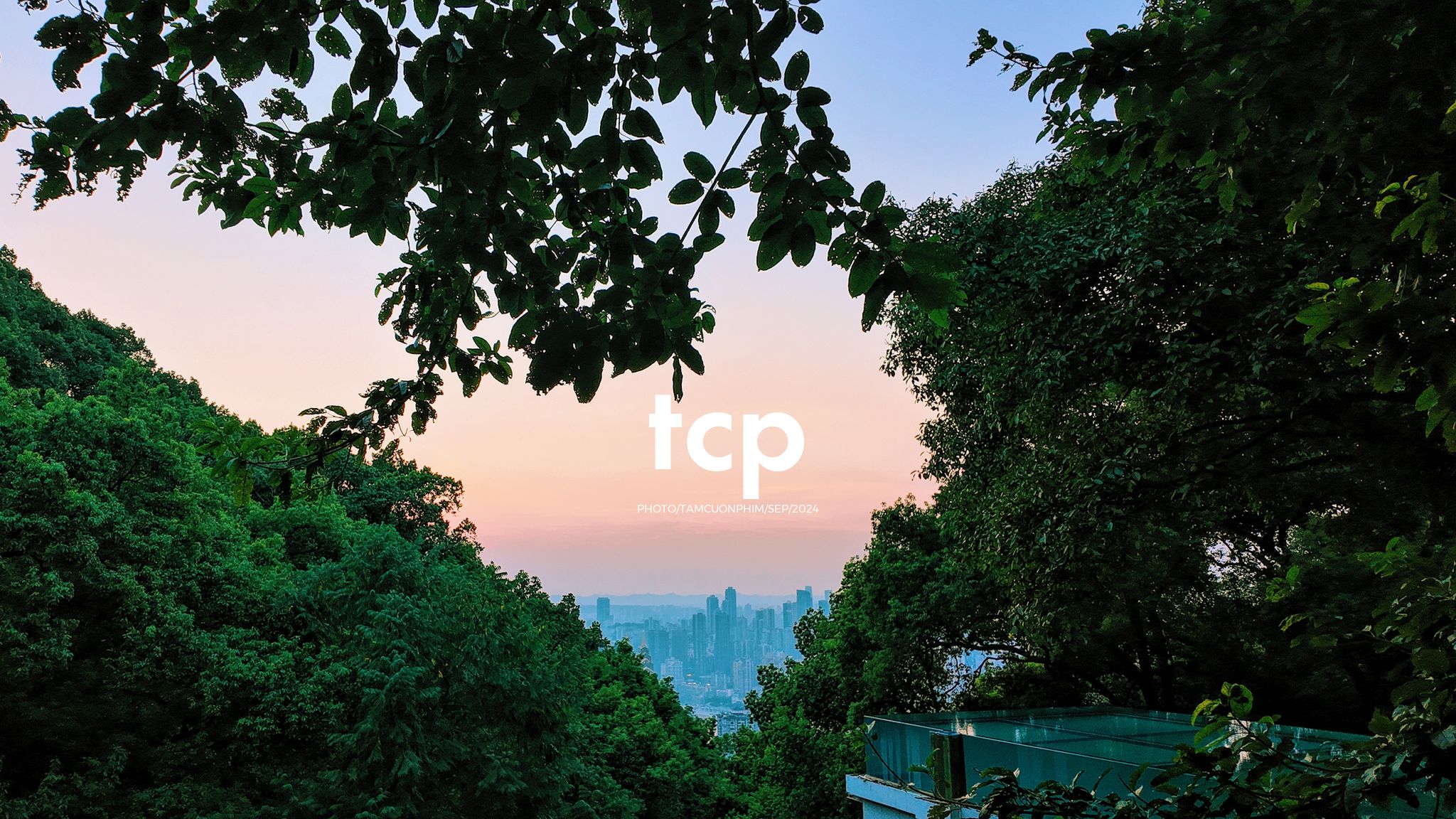 Tám Cuộn Phim - Lần đầu ghé quán đúng lúc nắng đẹp