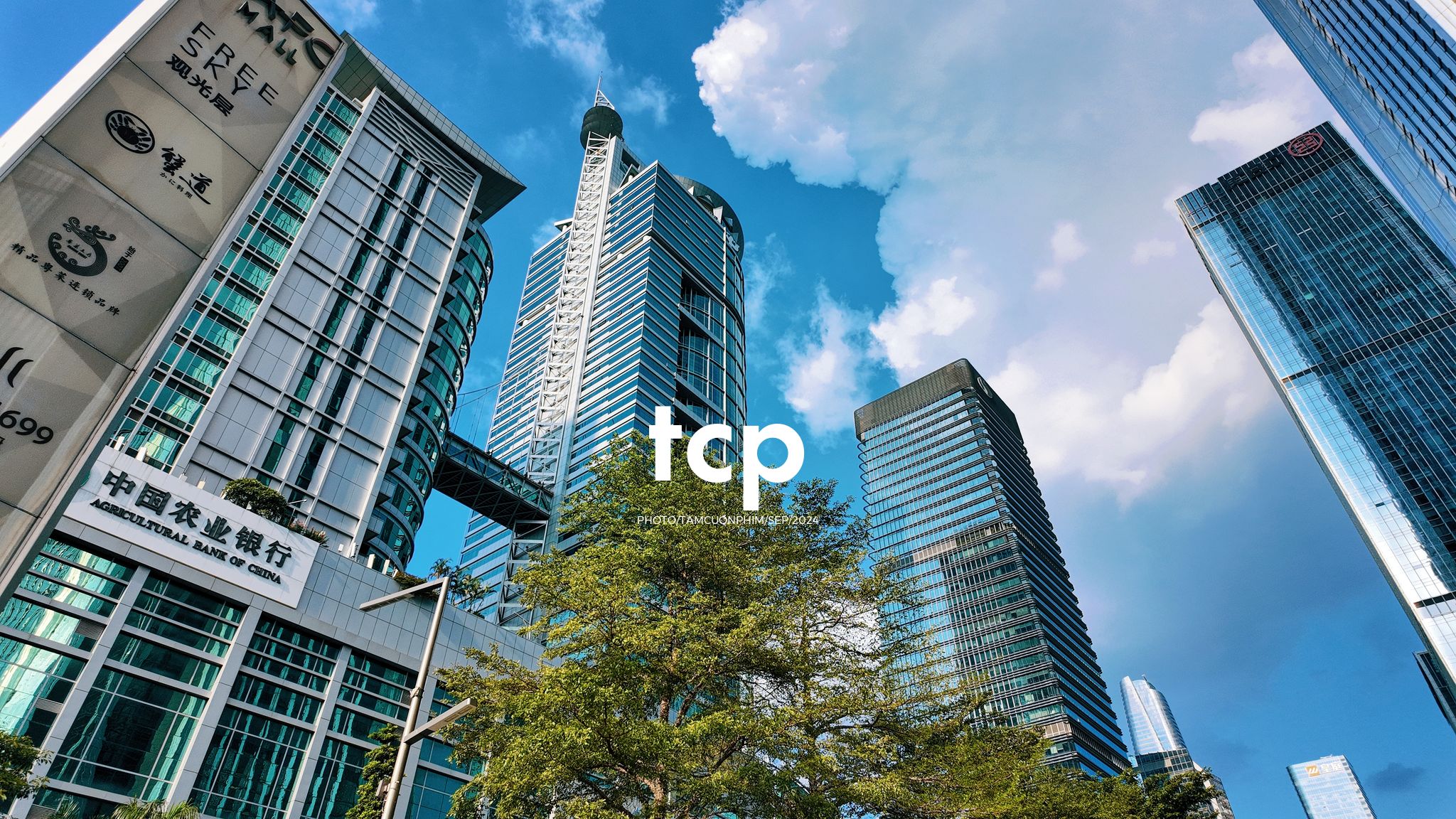 Tám Cuộn Phim - Có ai từng lạc lối giữa những tòa nhà chọc trời mà vẫn thấy vui không?