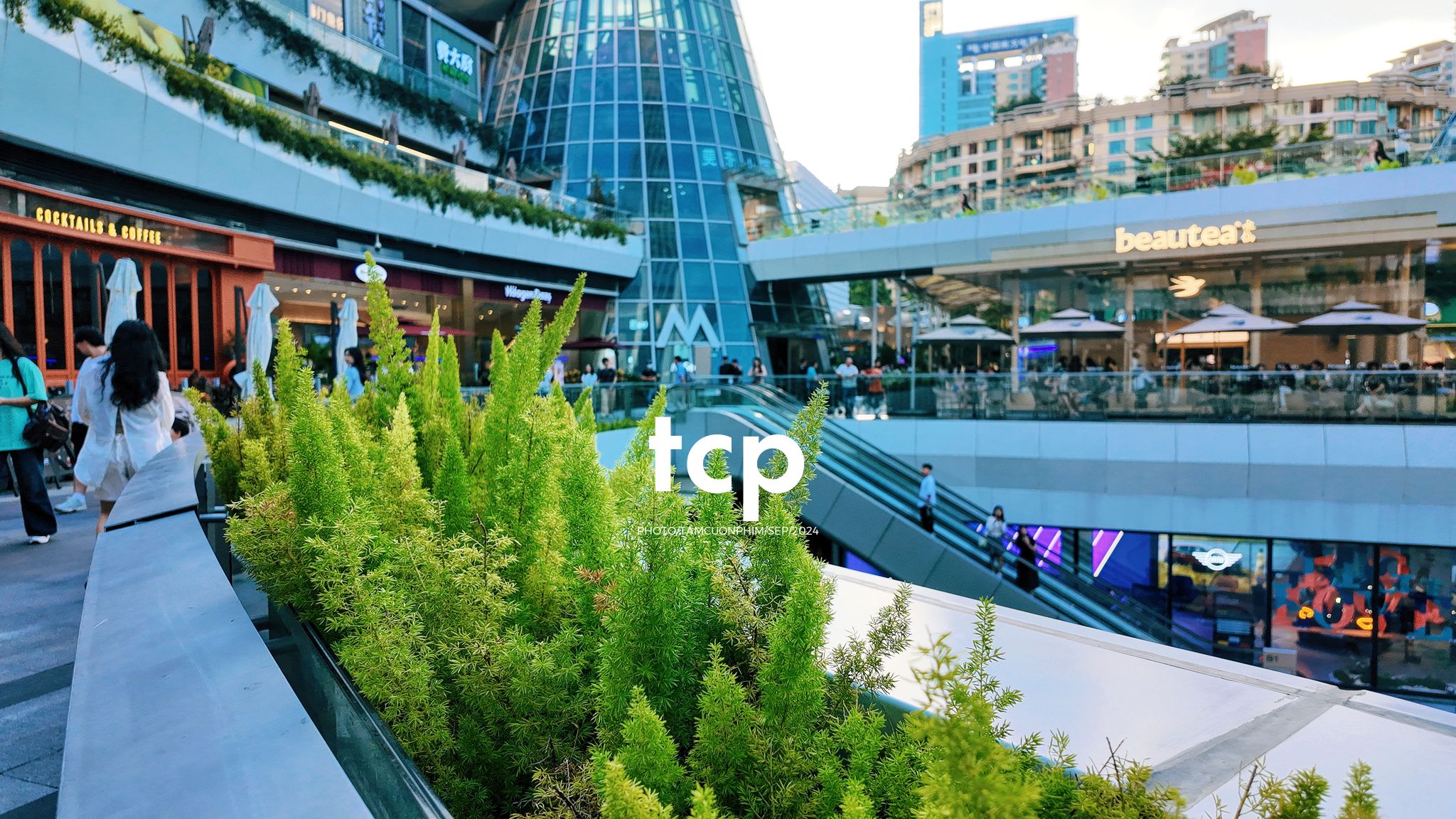 Tám Cuộn Phim - Có ai từng lạc lối giữa những tòa nhà chọc trời mà vẫn thấy vui không?