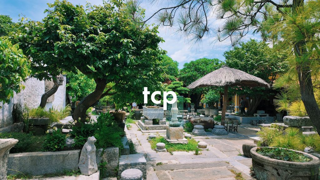 Tám Cuộn Phim - Chuyến tàu rời ga sớm