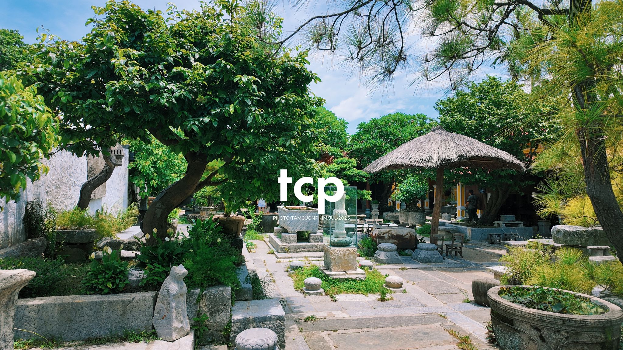 Tám Cuộn Phim - Chuyến tàu rời ga sớm