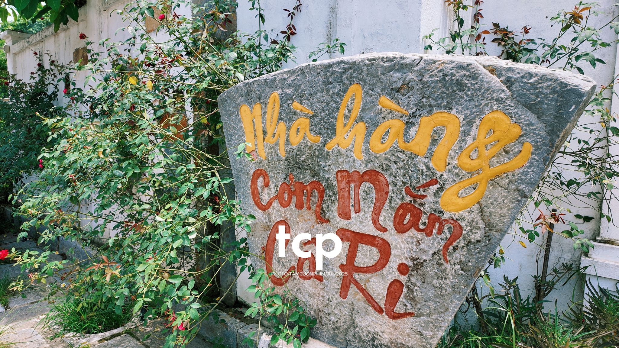 Tám Cuộn Phim - Chuyến tàu rời ga sớm