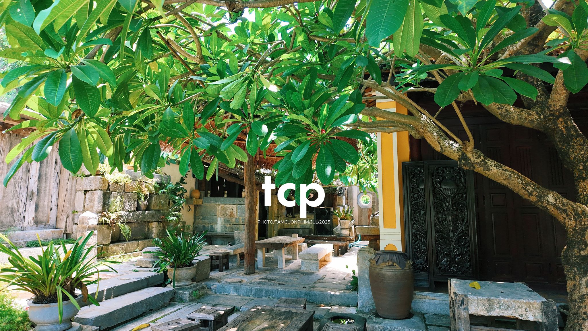 Tám Cuộn Phim - Chuyến tàu rời ga sớm