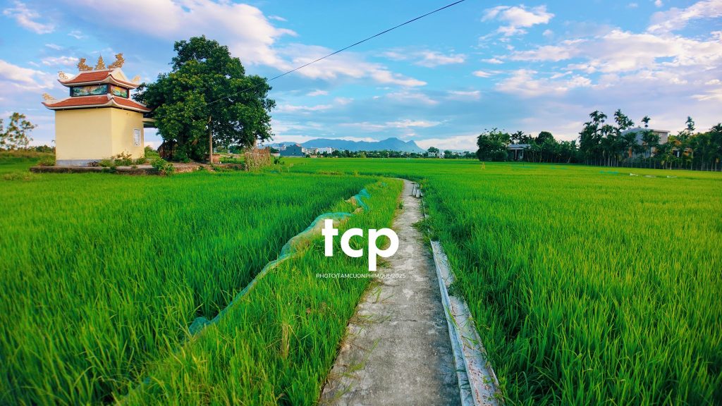 Tám Cuộn Phim - HÀNH TRÌNH CỦA ÁNH SÁNG VÀ NHỊP ĐIỆU CỘNG HƯỞNG