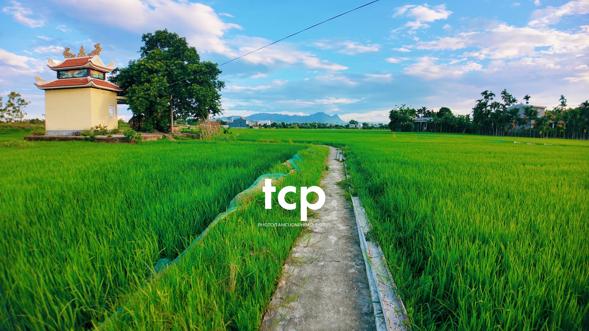 Tám Cuộn Phim - HÀNH TRÌNH CỦA ÁNH SÁNG VÀ NHỊP ĐIỆU CỘNG HƯỞNG