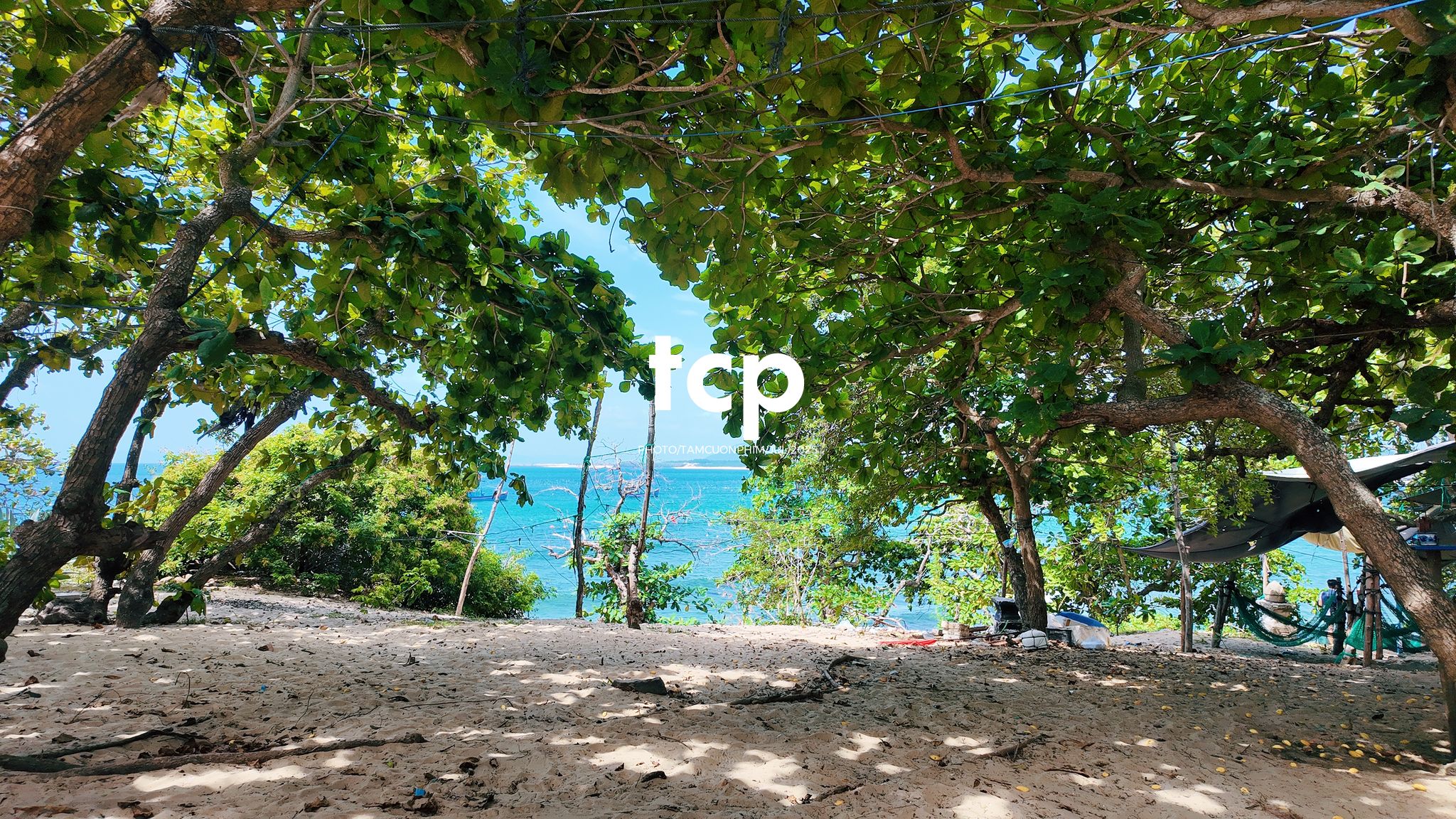 Tám Cuộn Phim - Đi trốn ở thiên đường san hô có gì vui?