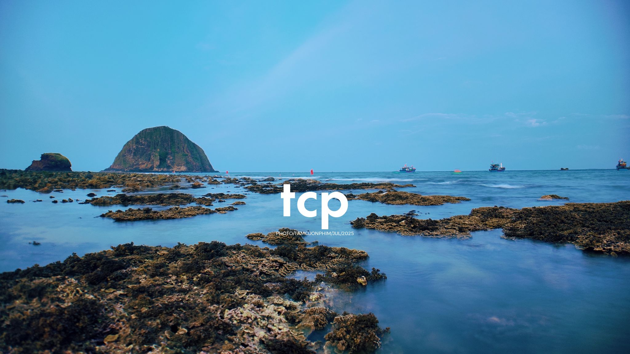 Tám Cuộn Phim - Đi trốn ở thiên đường san hô có gì vui?