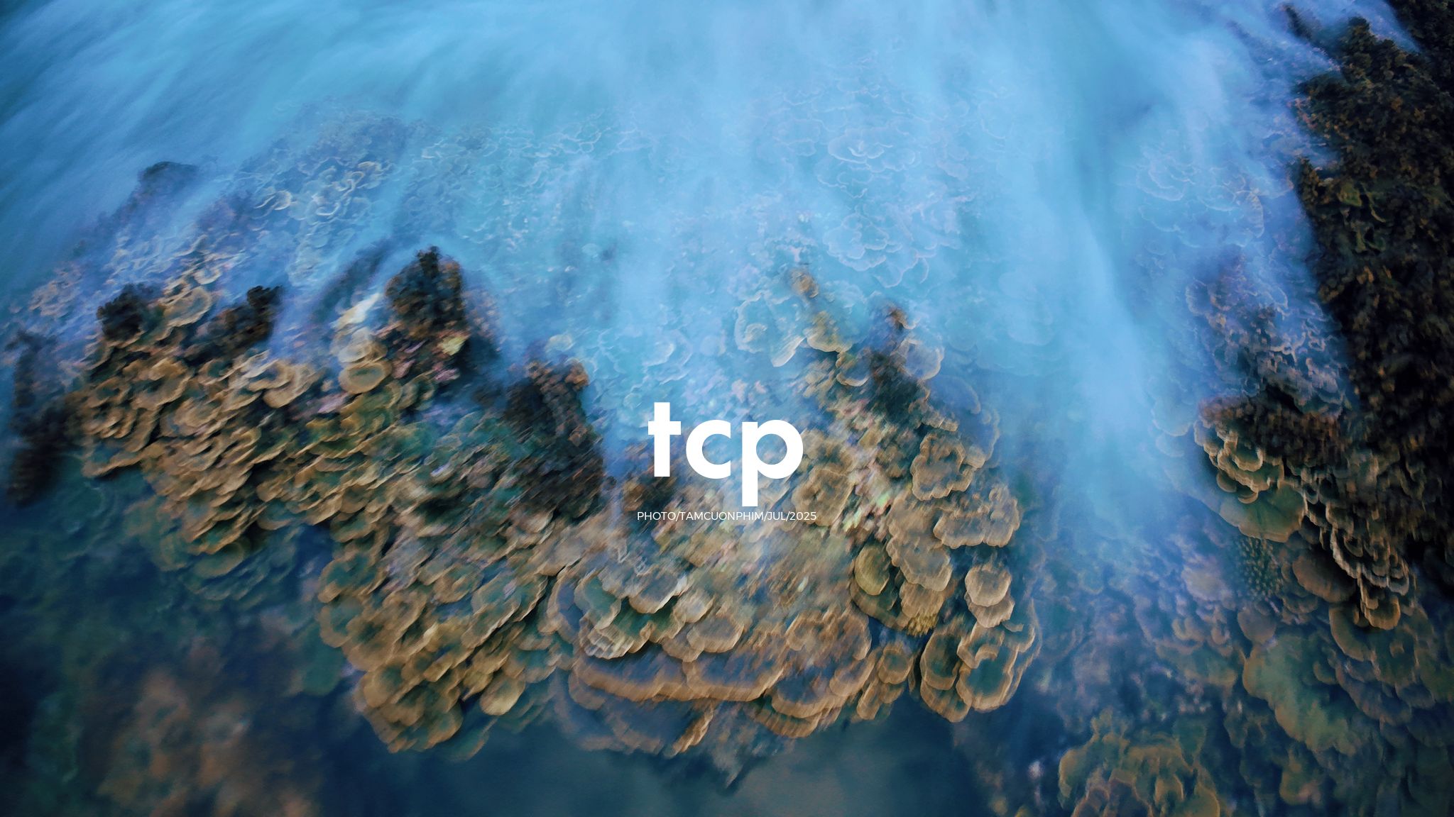 Tám Cuộn Phim - Đi trốn ở thiên đường san hô có gì vui?