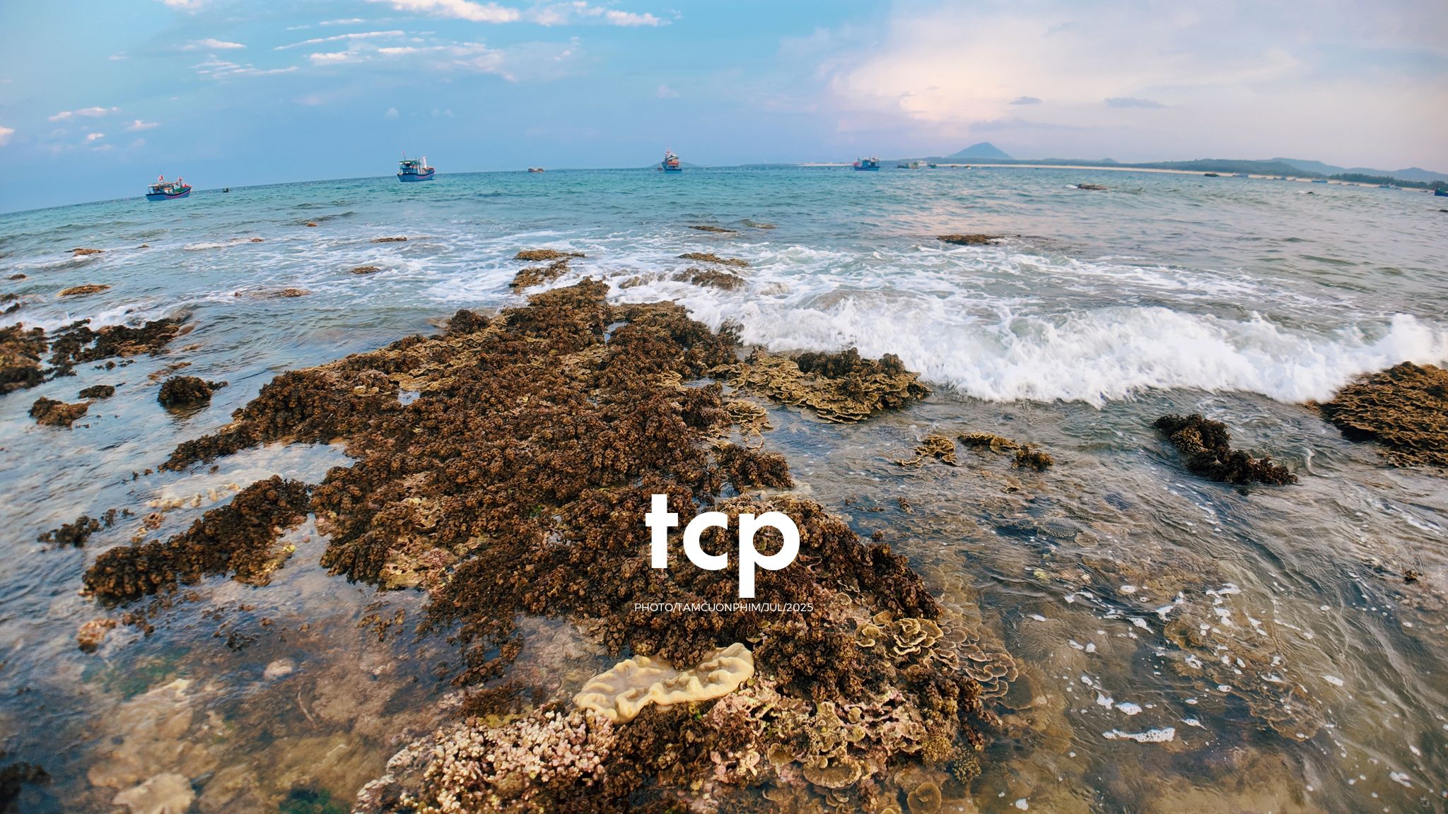 Tám Cuộn Phim - Đi trốn ở thiên đường san hô có gì vui?