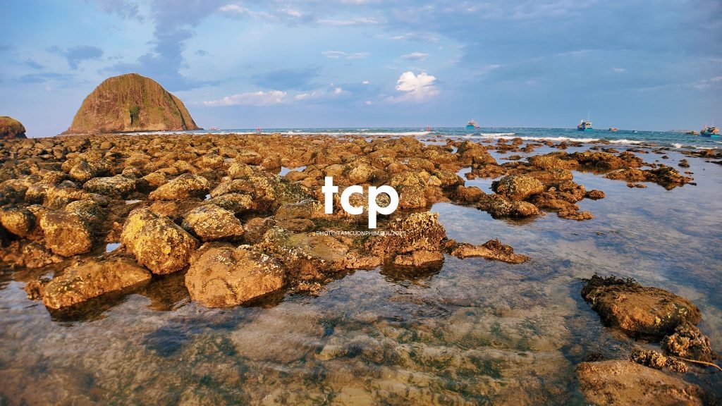 Tám Cuộn Phim - Đi trốn ở thiên đường san hô có gì vui?