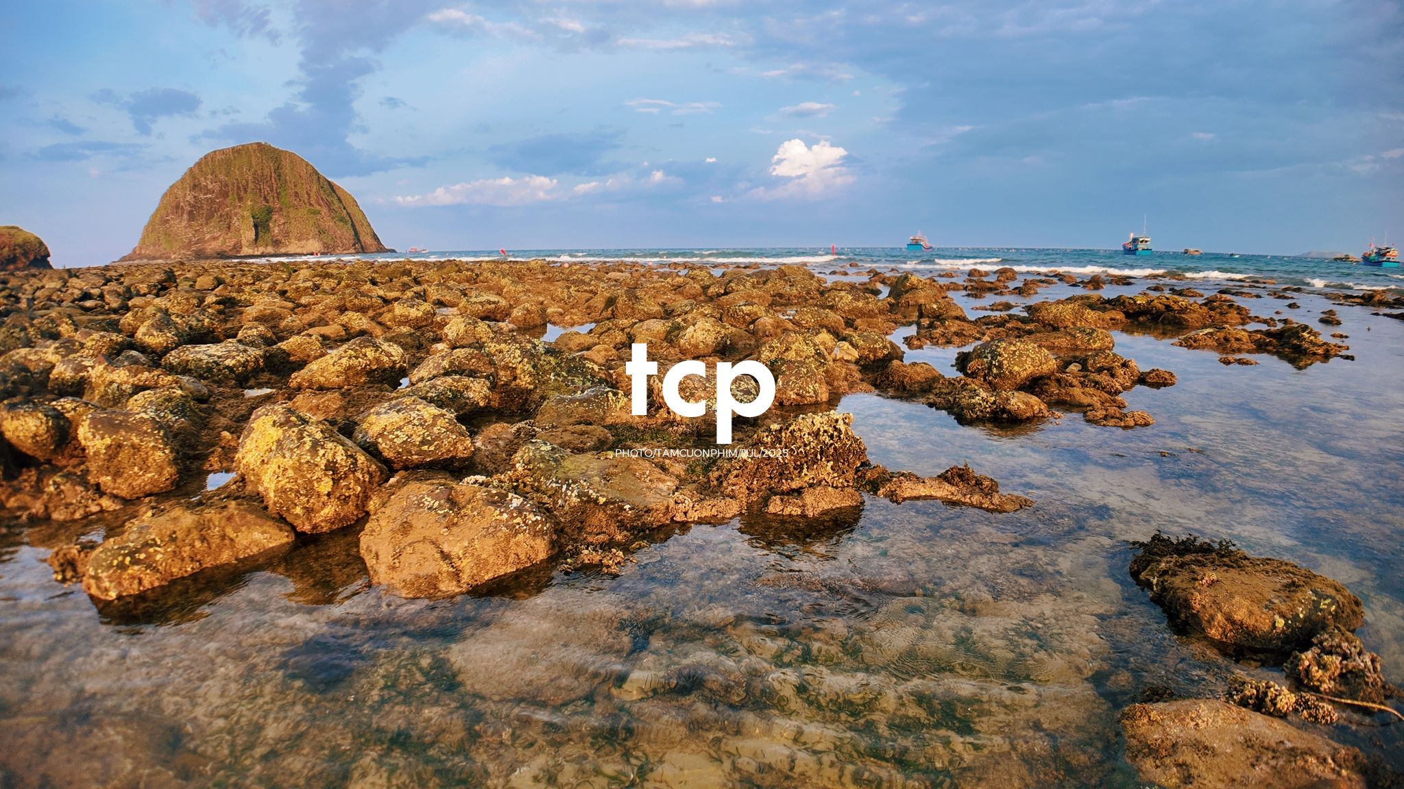 Tám Cuộn Phim - Đi trốn ở thiên đường san hô có gì vui?