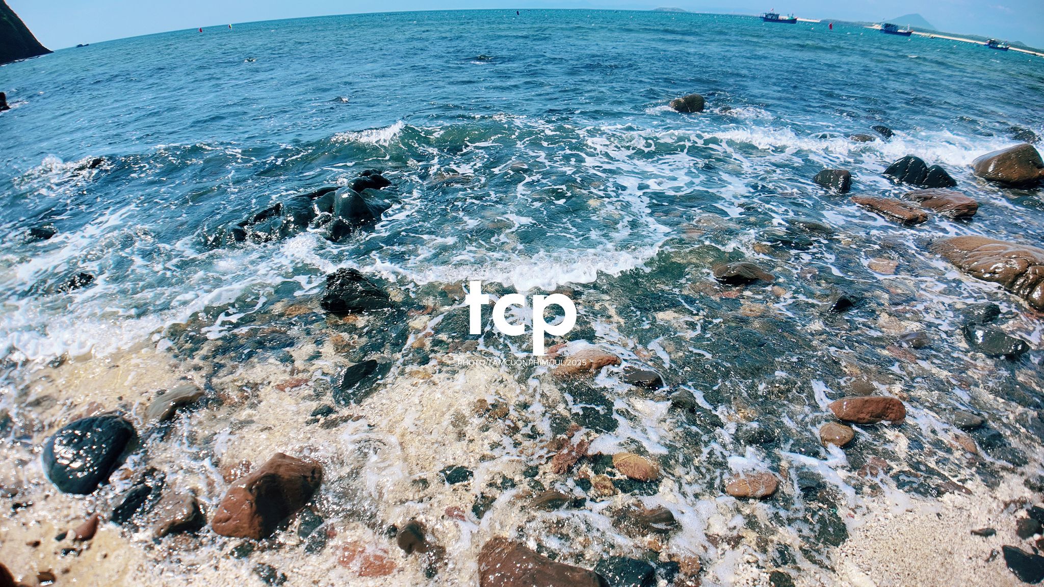 Tám Cuộn Phim - Đi trốn ở thiên đường san hô có gì vui?