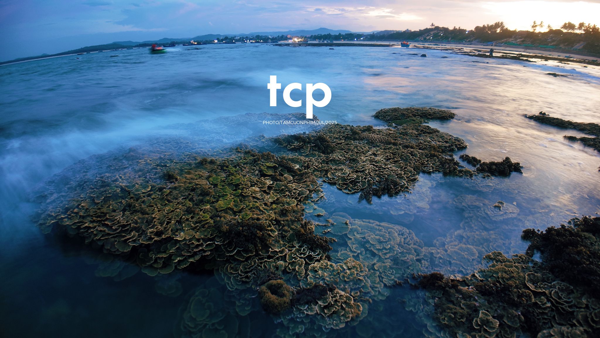 Tám Cuộn Phim - Đi trốn ở thiên đường san hô có gì vui?