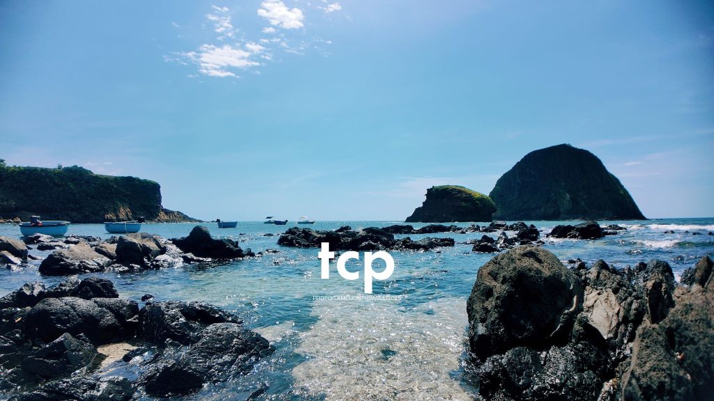 Tám Cuộn Phim - Đi trốn ở thiên đường san hô có gì vui?