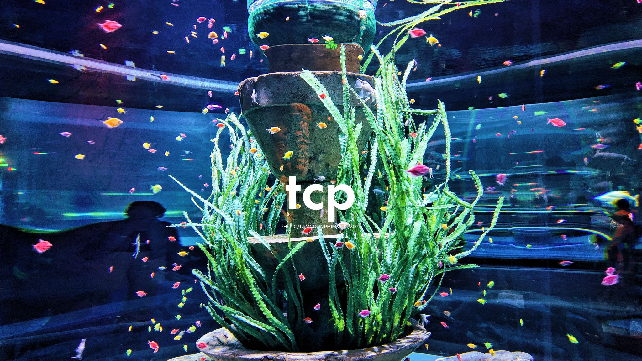 Tám Cuộn Phim - Chuyến đi "hết nước chấm" tại thiên đường biển xanh