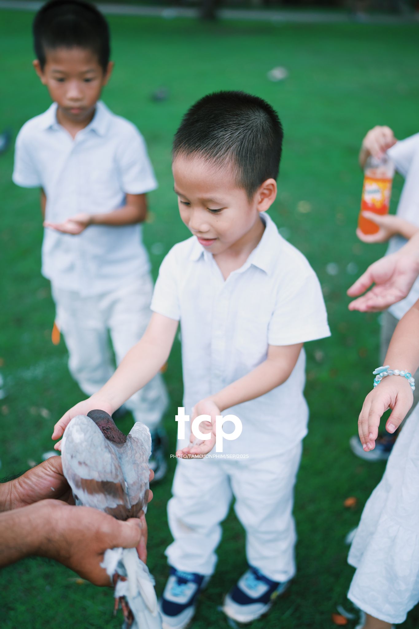 Tám Cuộn Phim - Nhịp điệu xanh và những mảnh ghép đời thường