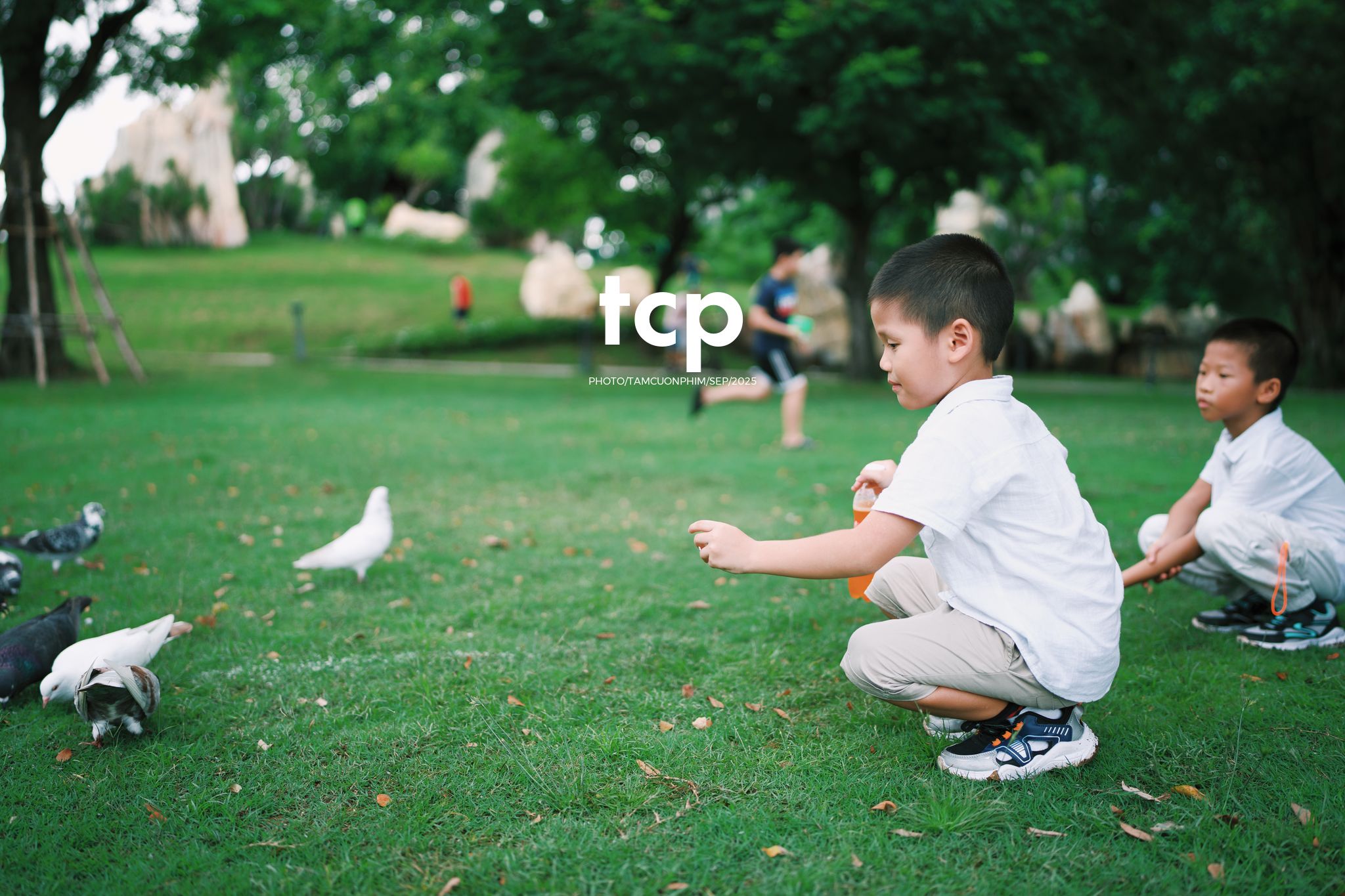 Tám Cuộn Phim - Nhịp điệu xanh và những mảnh ghép đời thường