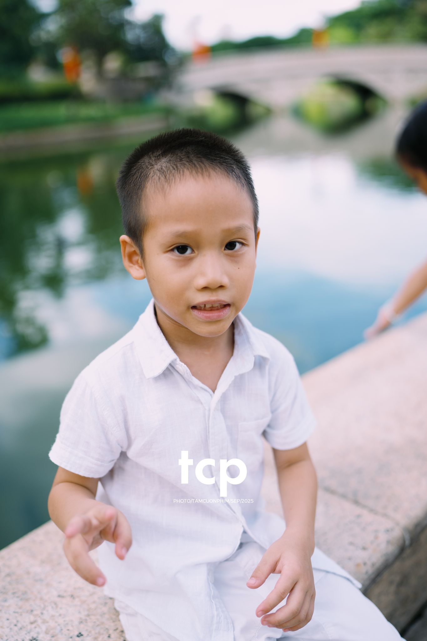 Tám Cuộn Phim - Nhịp điệu xanh và những mảnh ghép đời thường