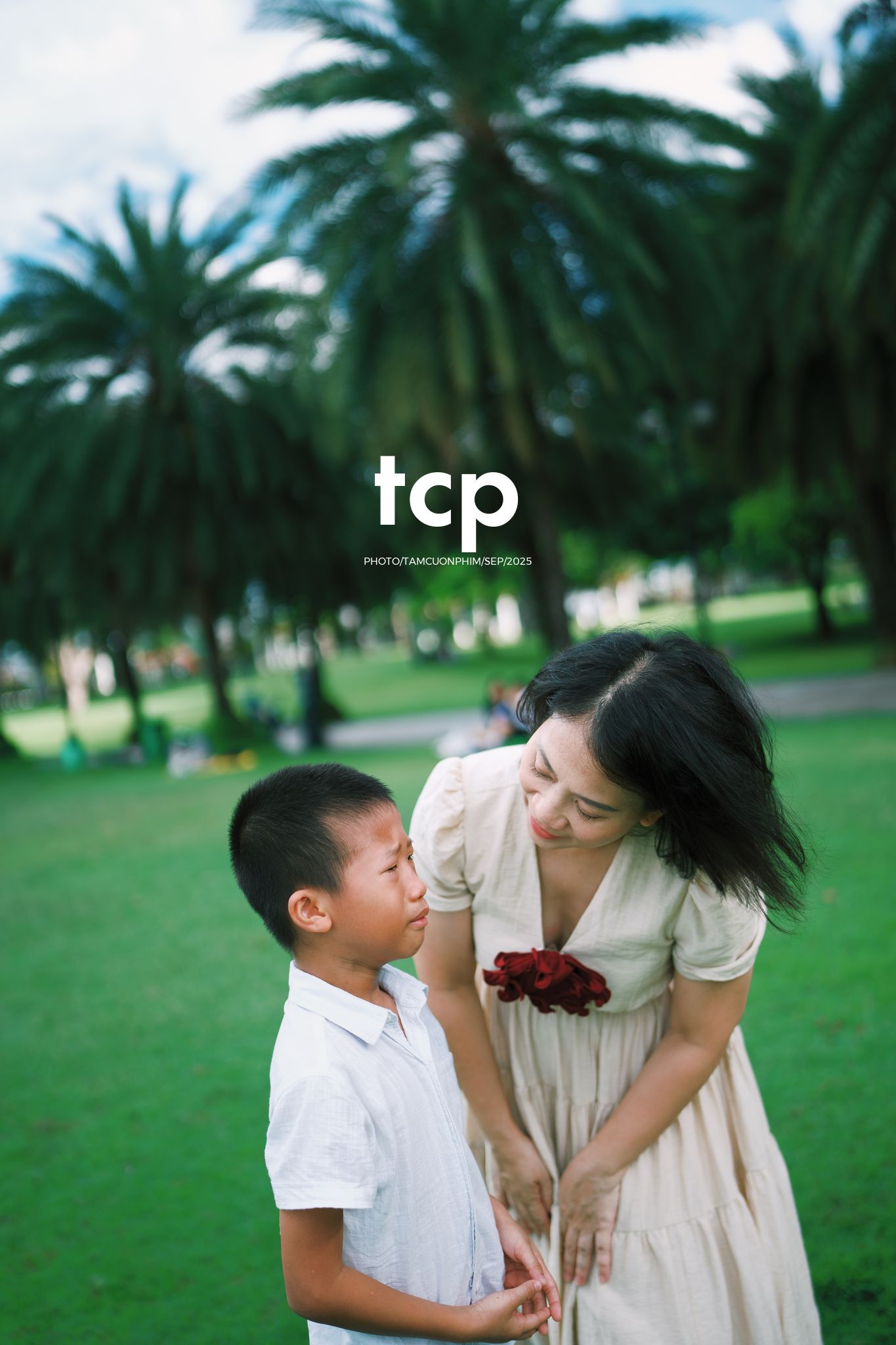 Tám Cuộn Phim - Nhịp điệu xanh và những mảnh ghép đời thường