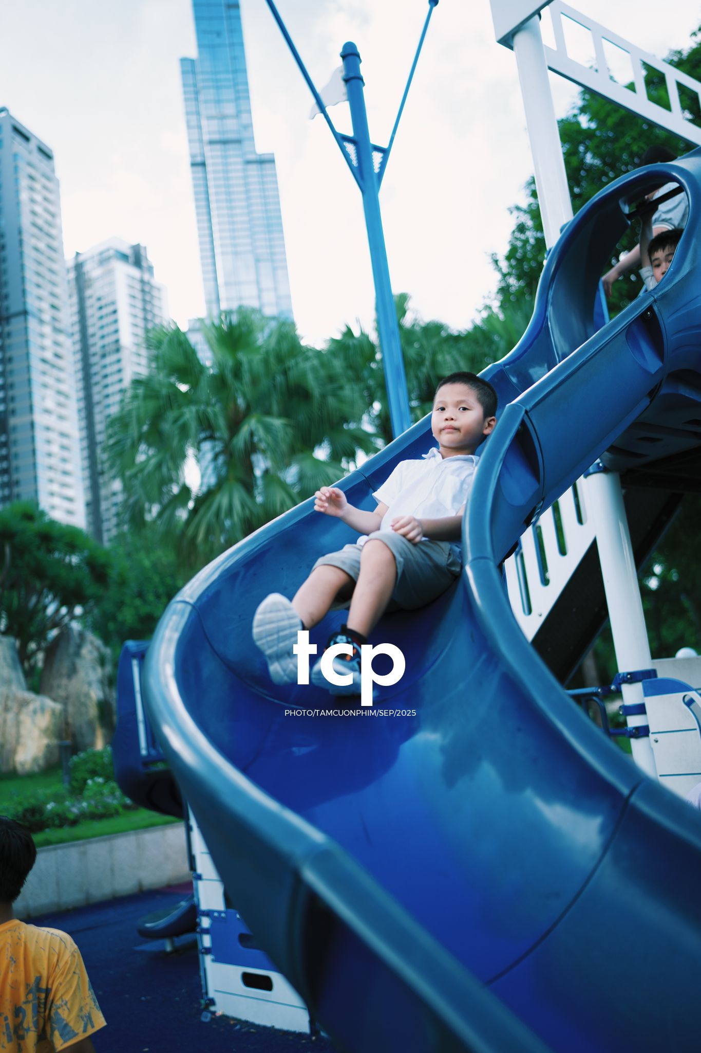 Tám Cuộn Phim - Nhịp điệu xanh và những mảnh ghép đời thường