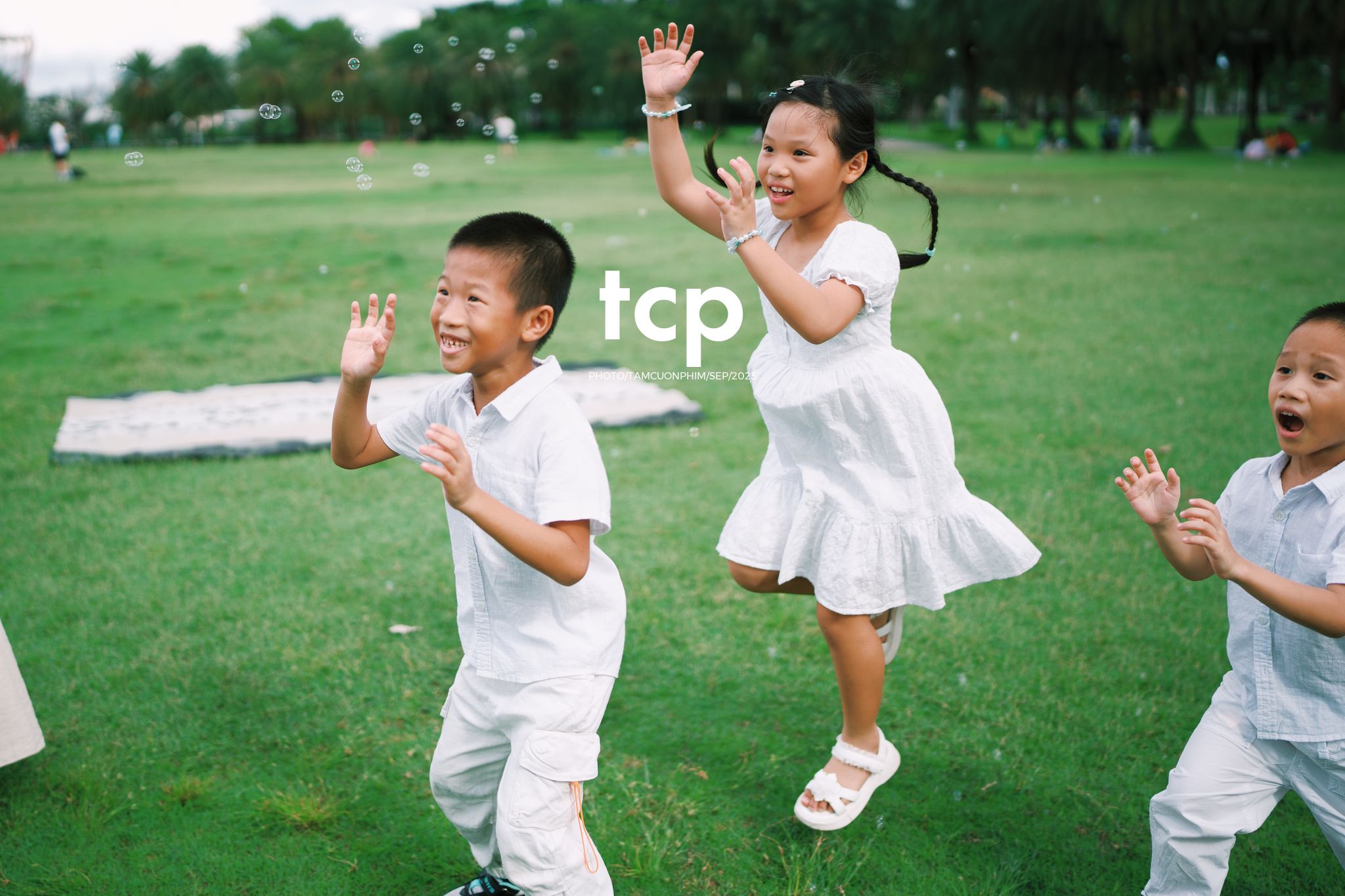 Tám Cuộn Phim - Nhịp điệu xanh và những mảnh ghép đời thường