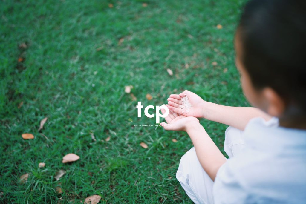 Tám Cuộn Phim - Nhịp điệu xanh và những mảnh ghép đời thường