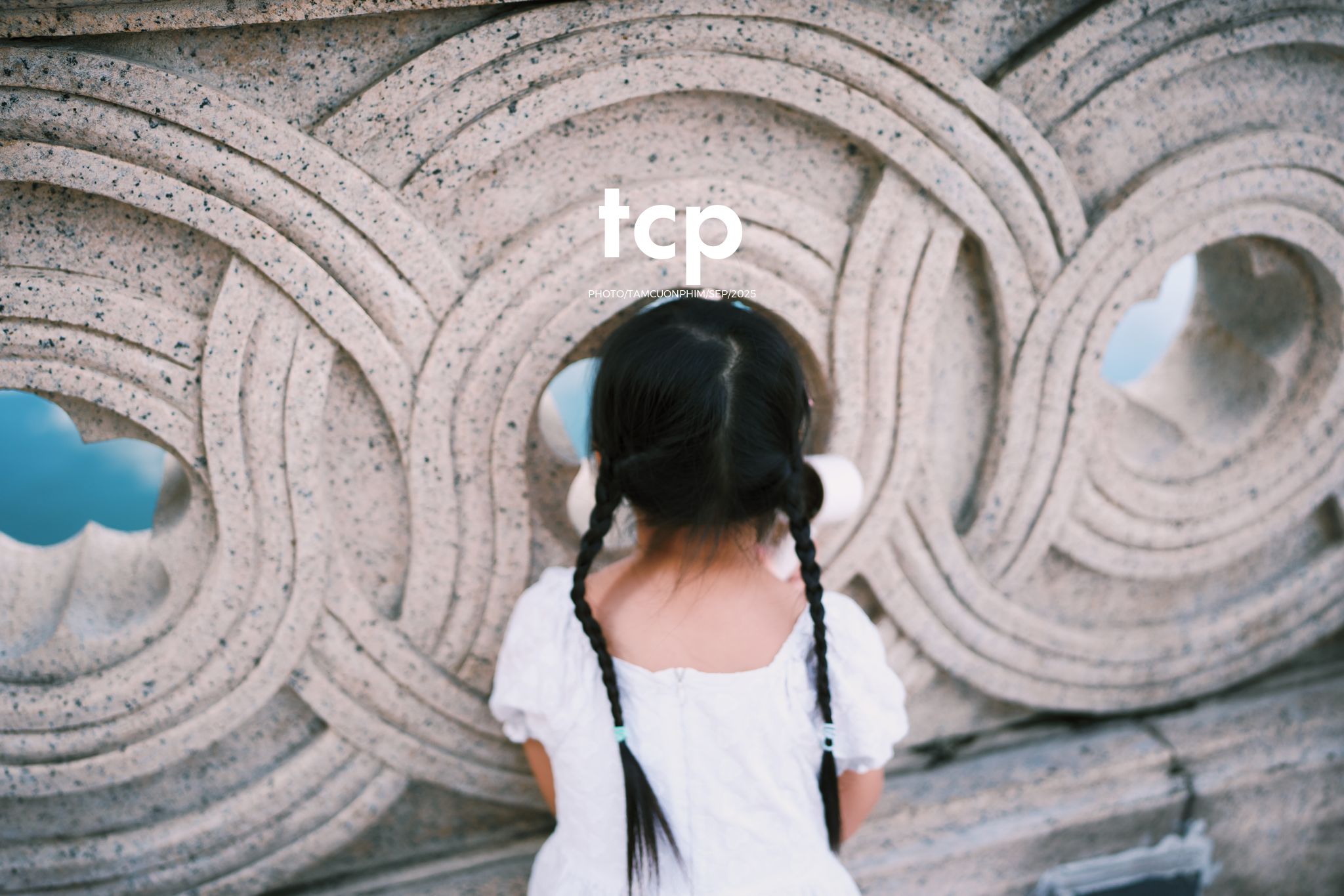 Tám Cuộn Phim - Nhịp điệu xanh và những mảnh ghép đời thường