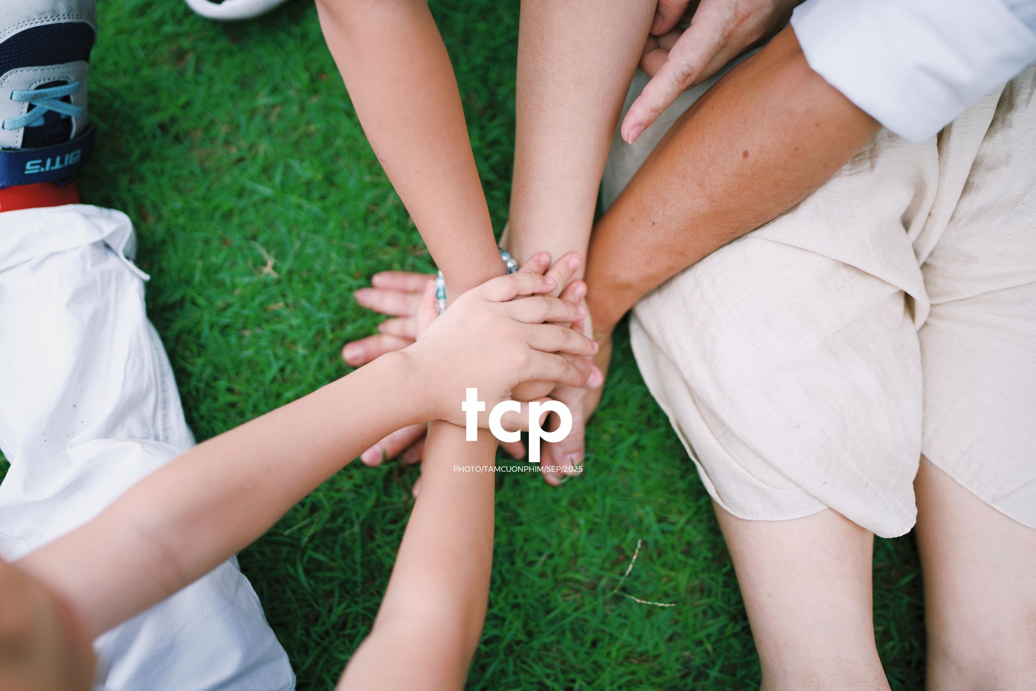 Tám Cuộn Phim - Nhịp điệu xanh và những mảnh ghép đời thường