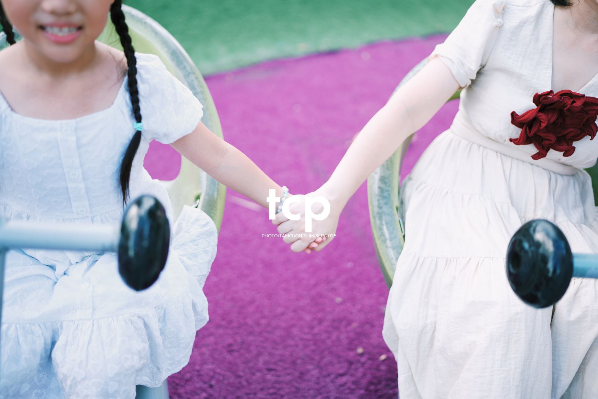 Tám Cuộn Phim - Nhịp điệu xanh và những mảnh ghép đời thường