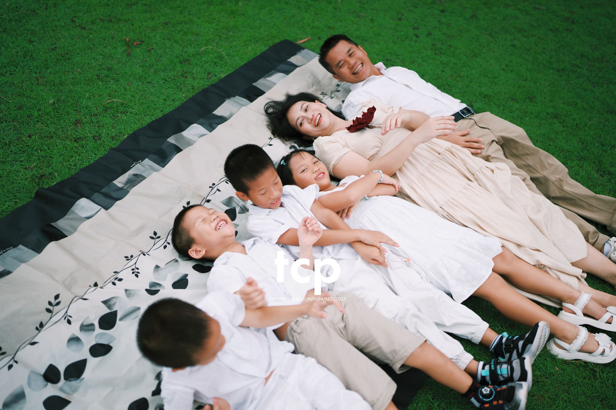 Tám Cuộn Phim - Nhịp điệu xanh và những mảnh ghép đời thường