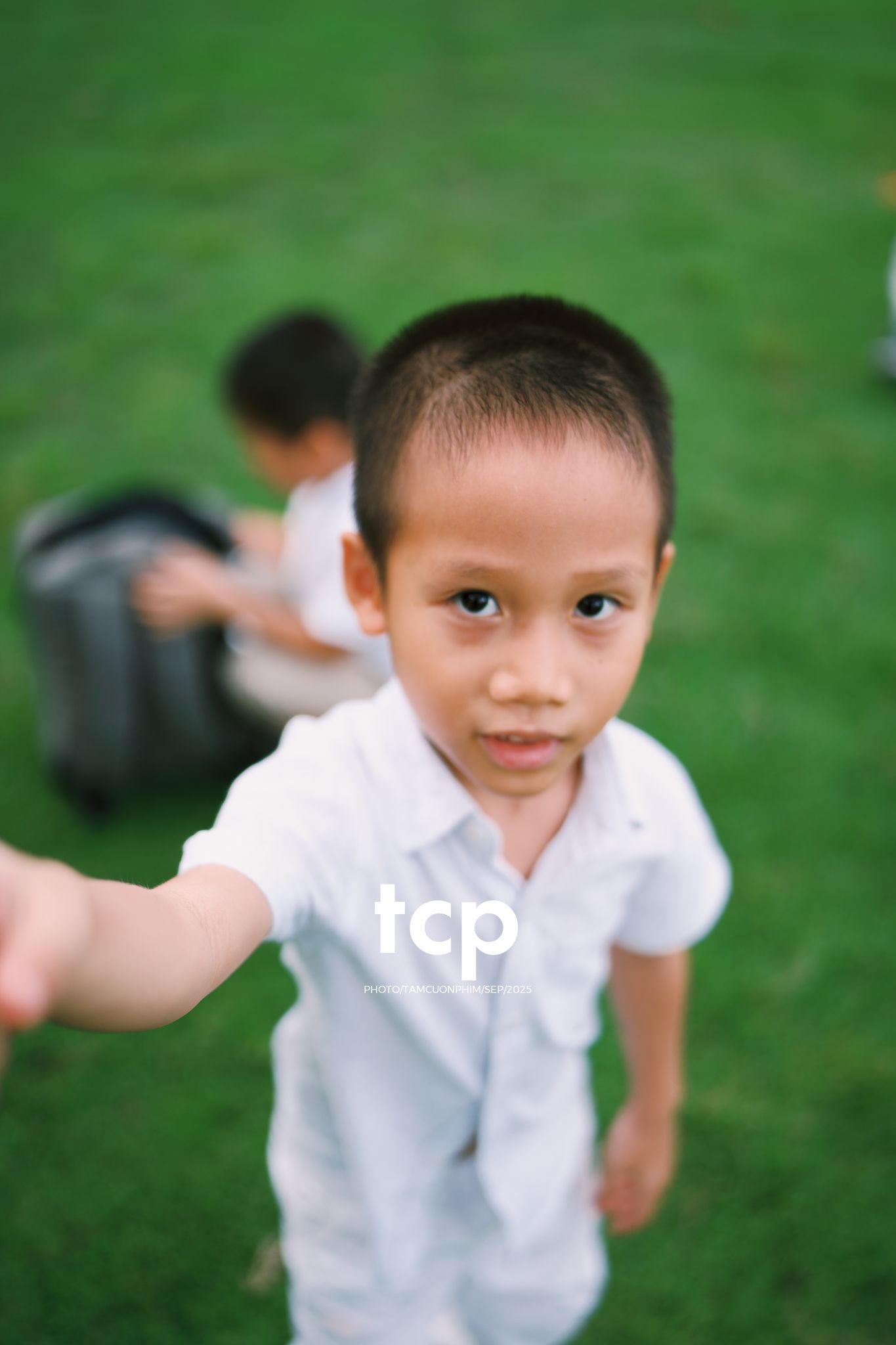 Tám Cuộn Phim - Nhịp điệu xanh và những mảnh ghép đời thường