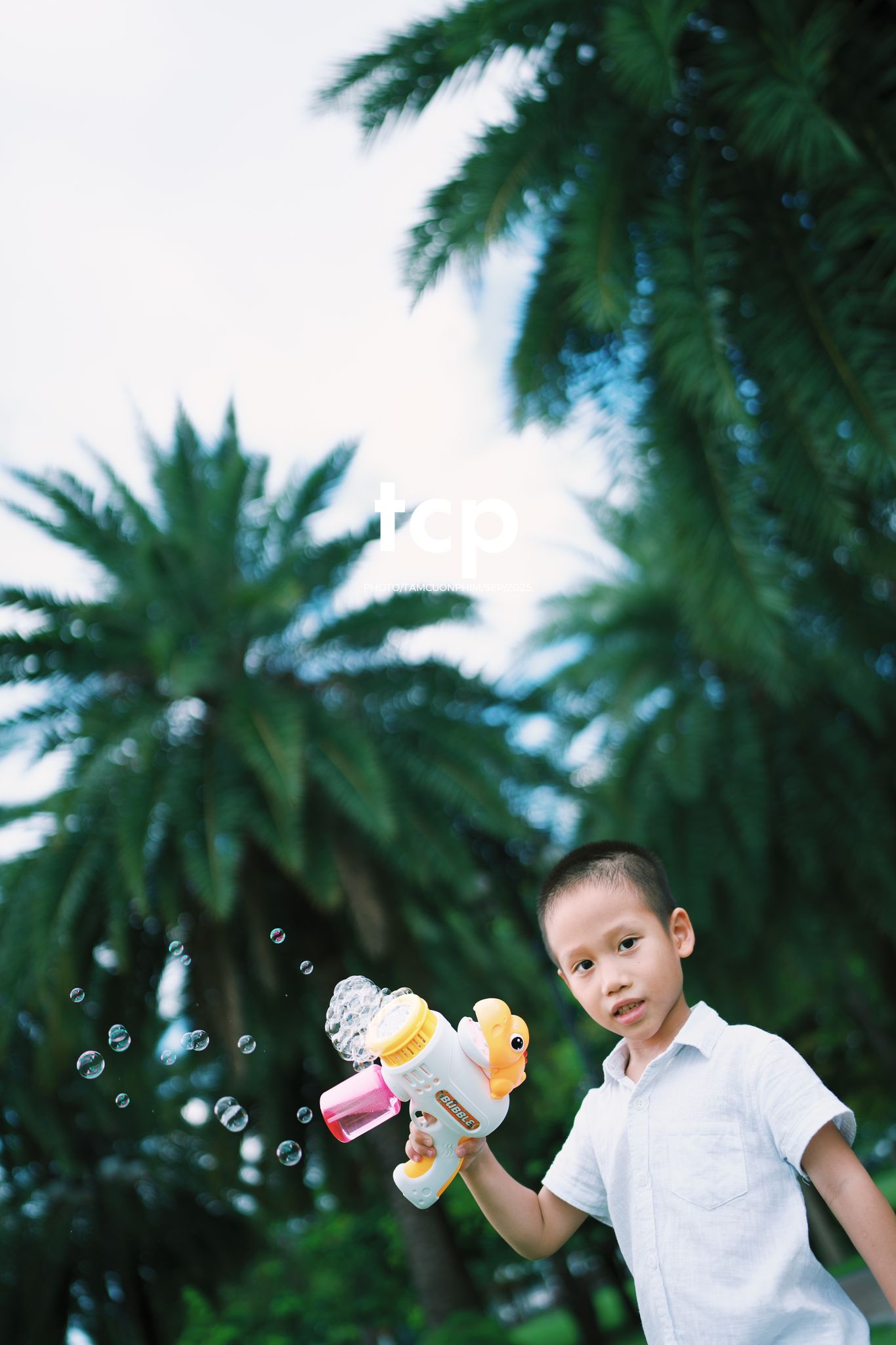 Tám Cuộn Phim - Nhịp điệu xanh và những mảnh ghép đời thường