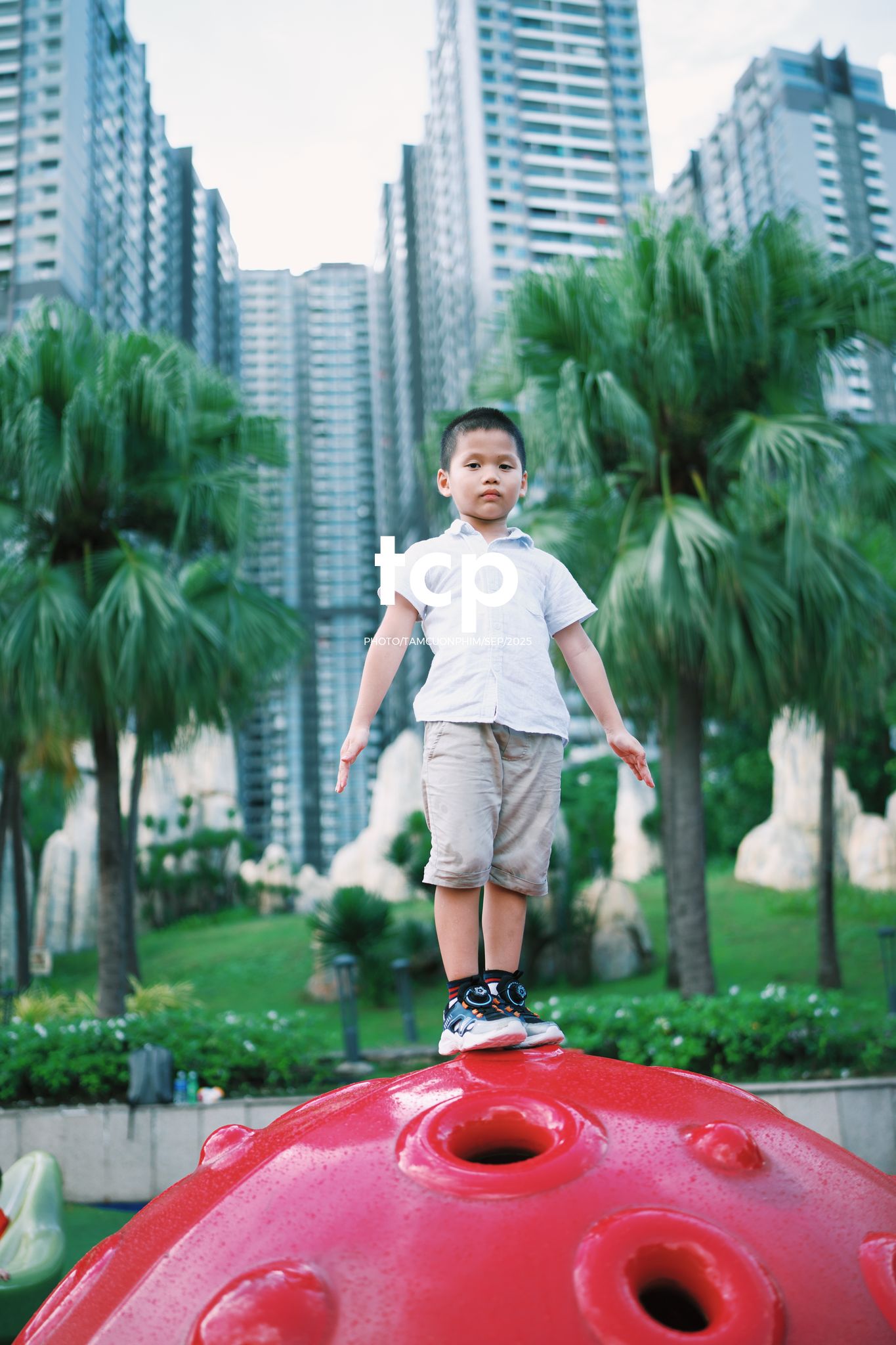 Tám Cuộn Phim - Nhịp điệu xanh và những mảnh ghép đời thường