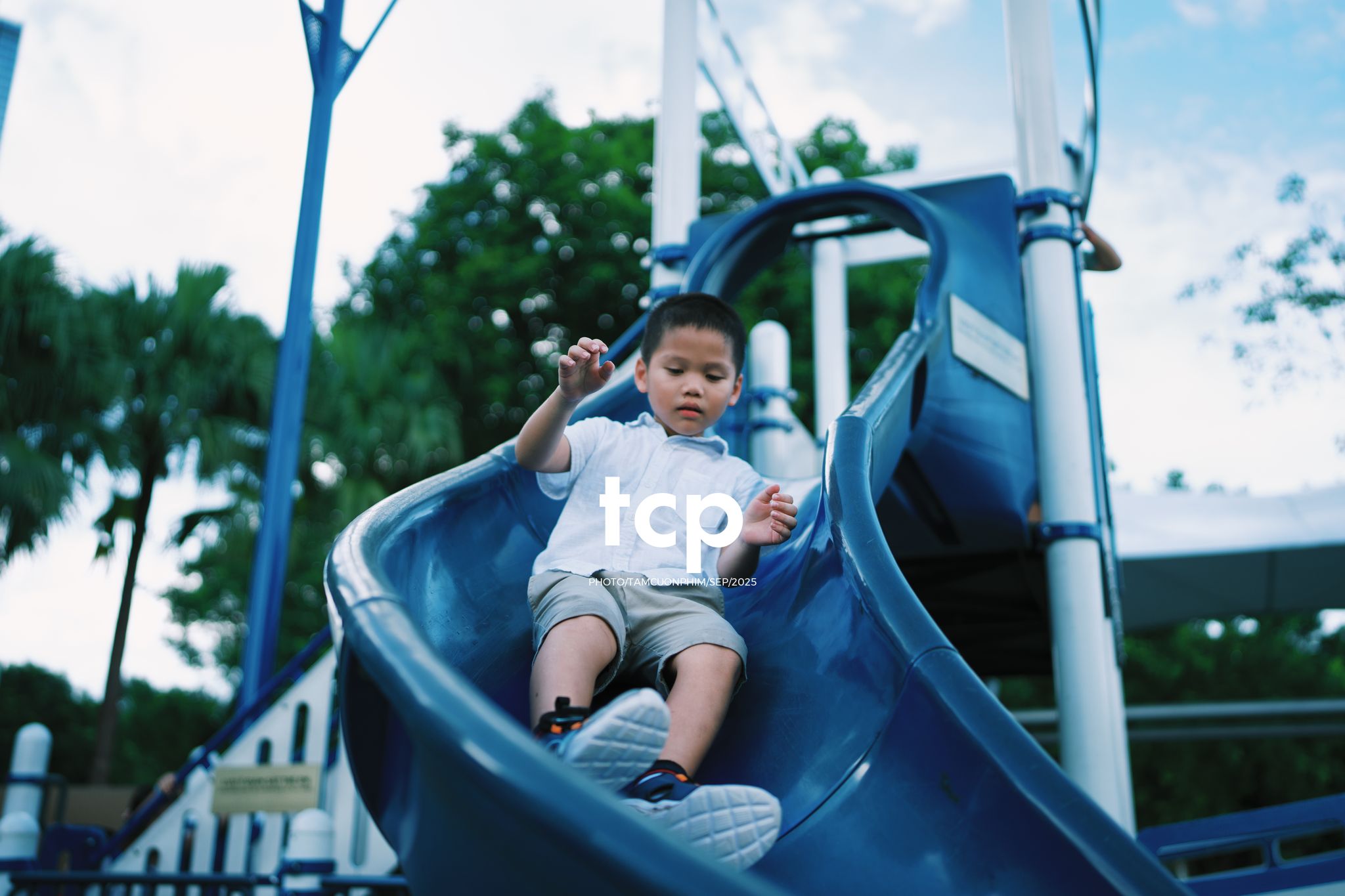 Tám Cuộn Phim - Nhịp điệu xanh và những mảnh ghép đời thường