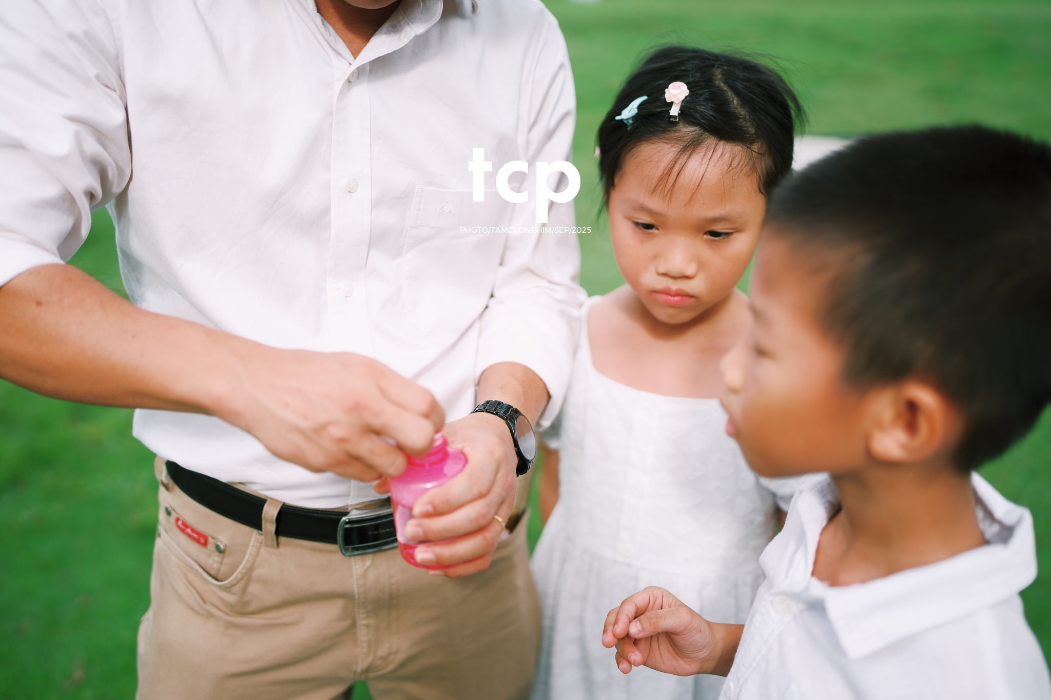 Tám Cuộn Phim - Nhịp điệu xanh và những mảnh ghép đời thường