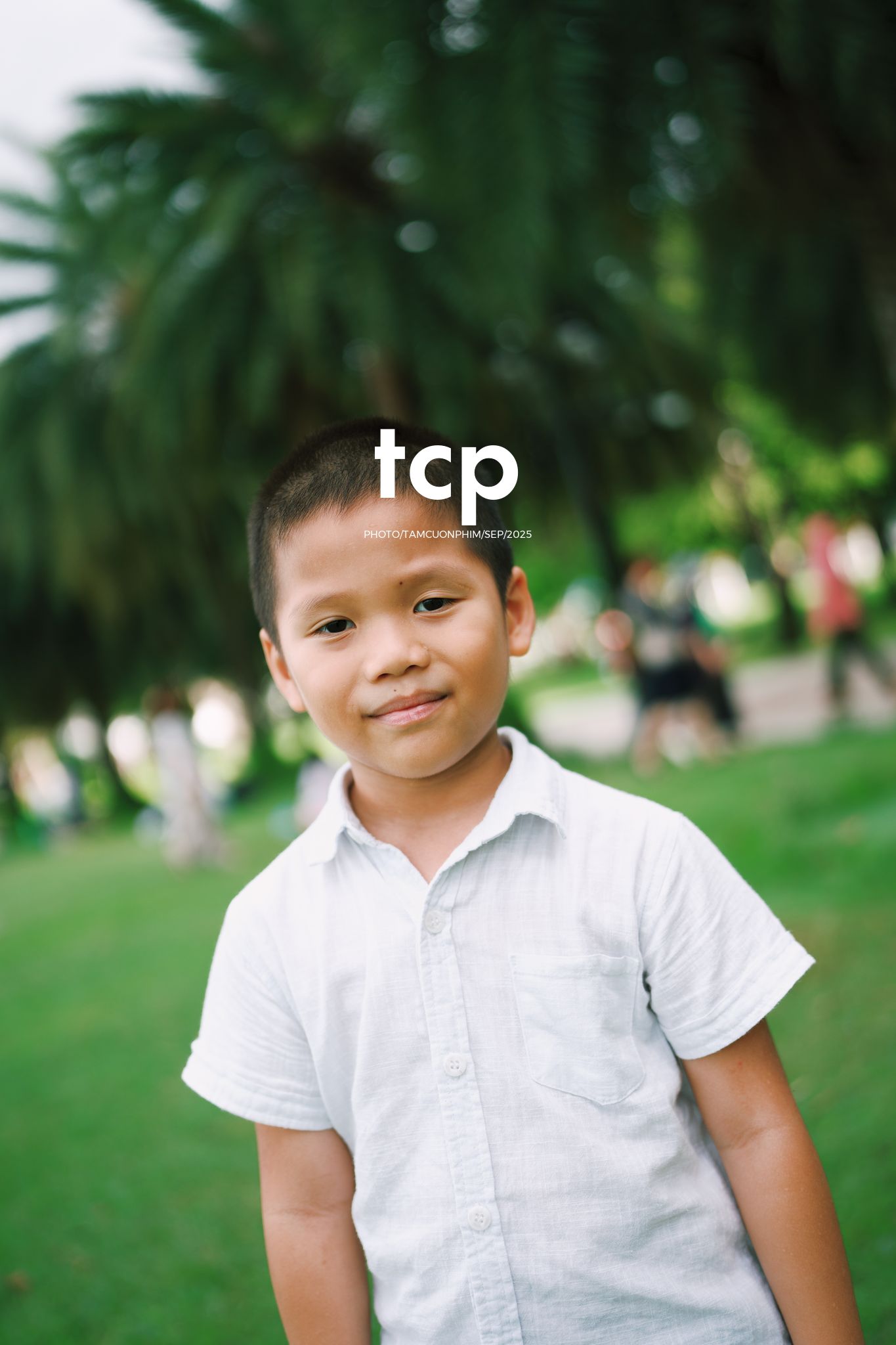 Tám Cuộn Phim - Nhịp điệu xanh và những mảnh ghép đời thường