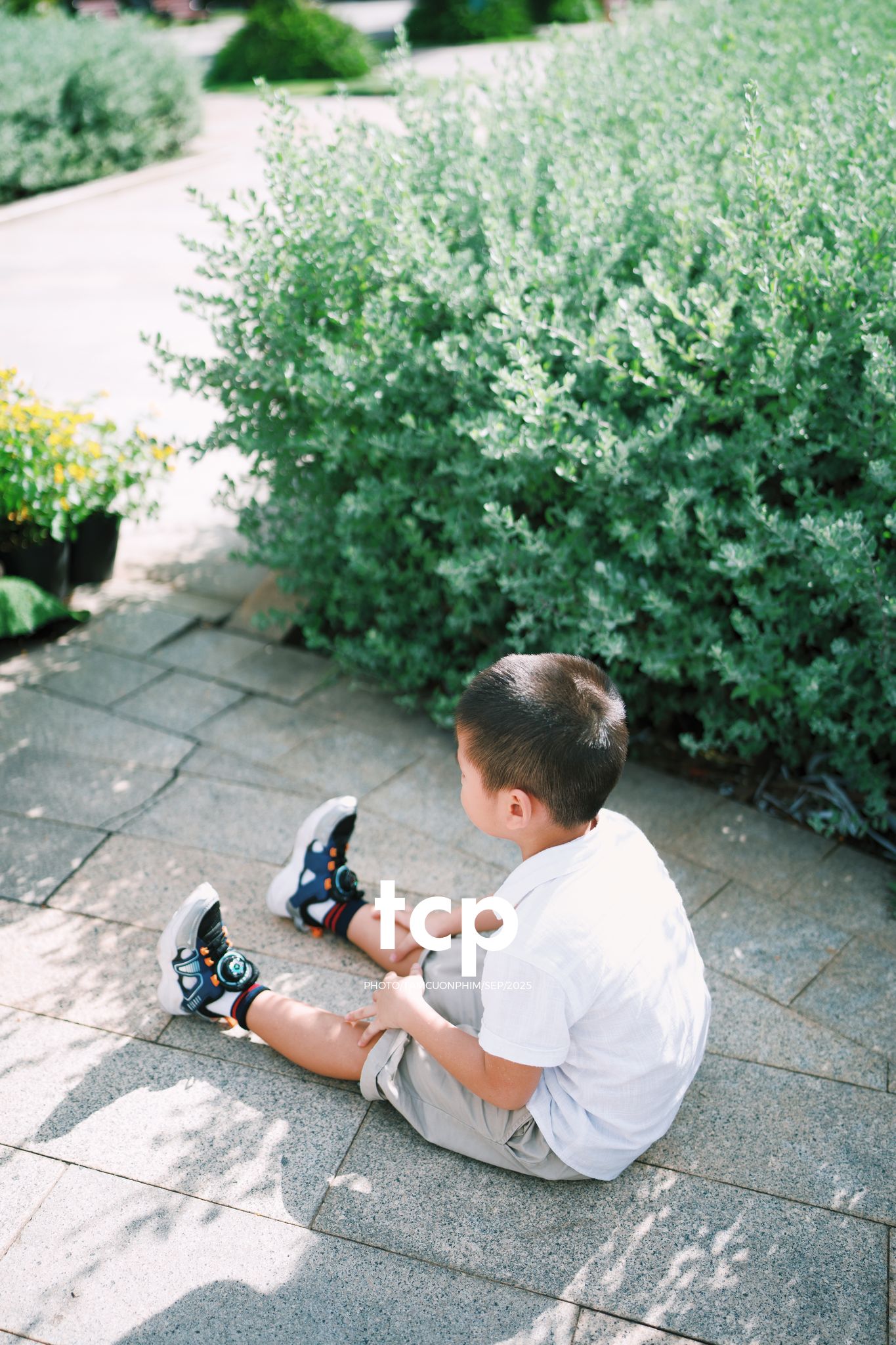 Tám Cuộn Phim - Nhịp điệu xanh và những mảnh ghép đời thường