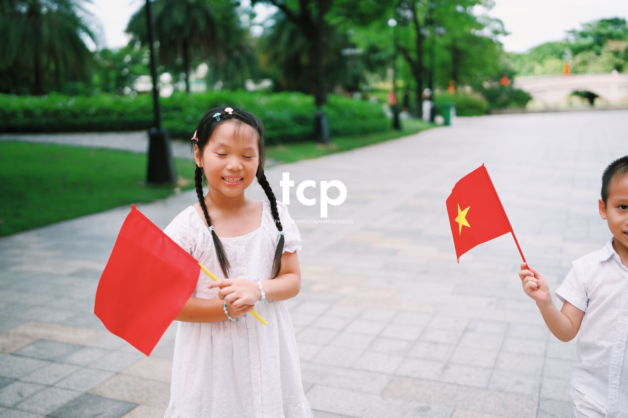 Tám Cuộn Phim - Nhịp điệu xanh và những mảnh ghép đời thường