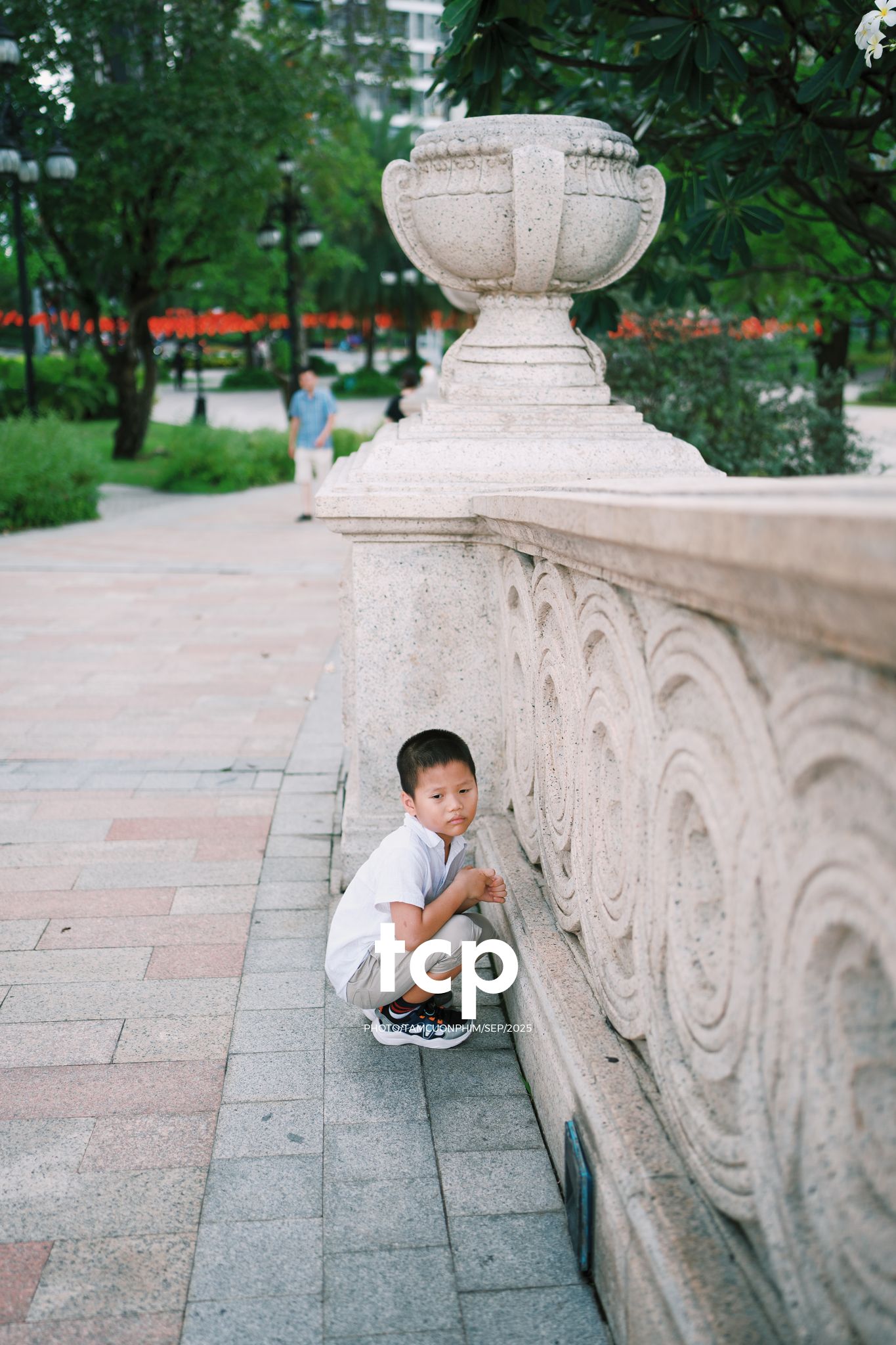 Tám Cuộn Phim - Nhịp điệu xanh và những mảnh ghép đời thường