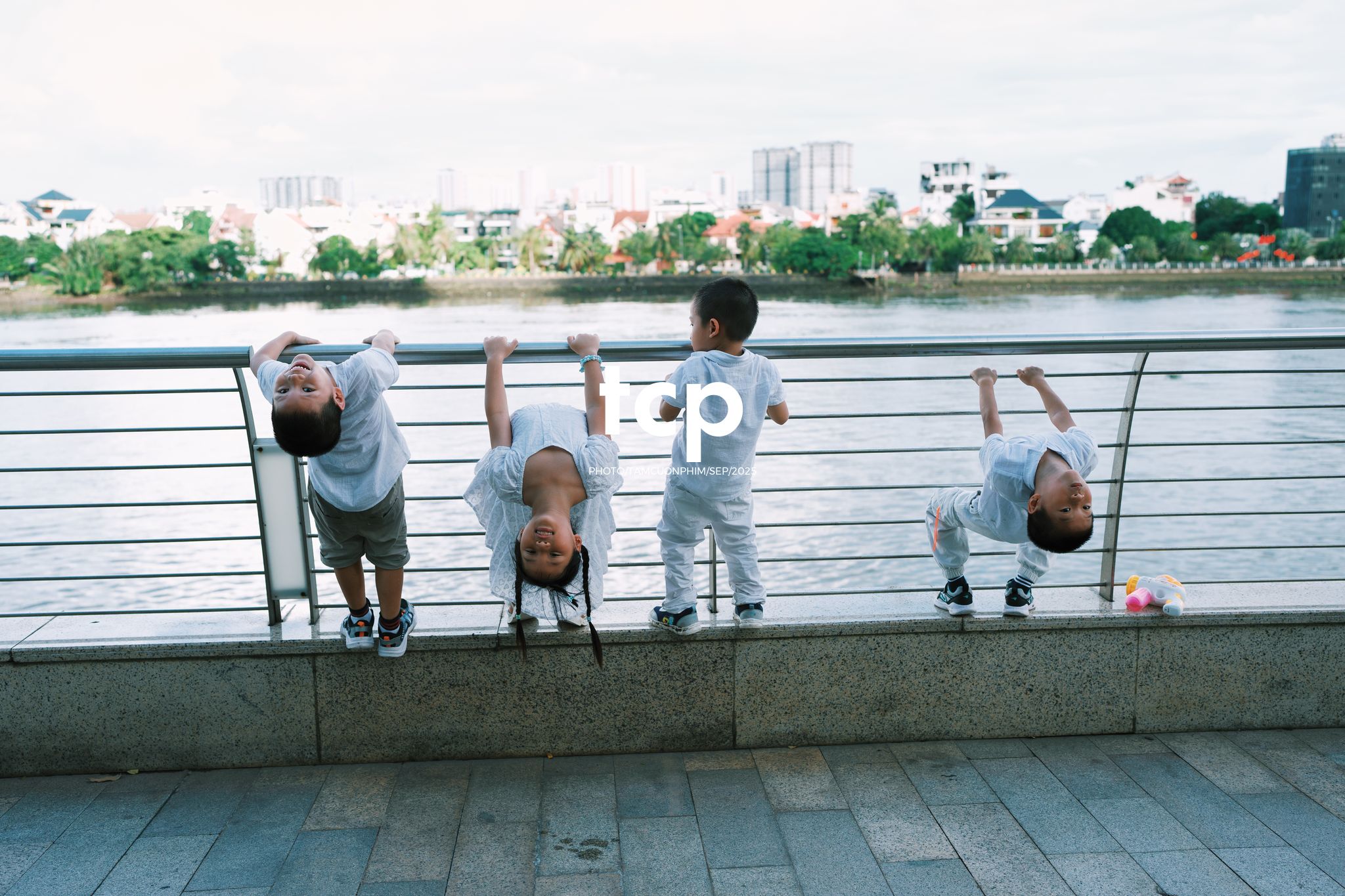 Tám Cuộn Phim - Nhịp điệu xanh và những mảnh ghép đời thường