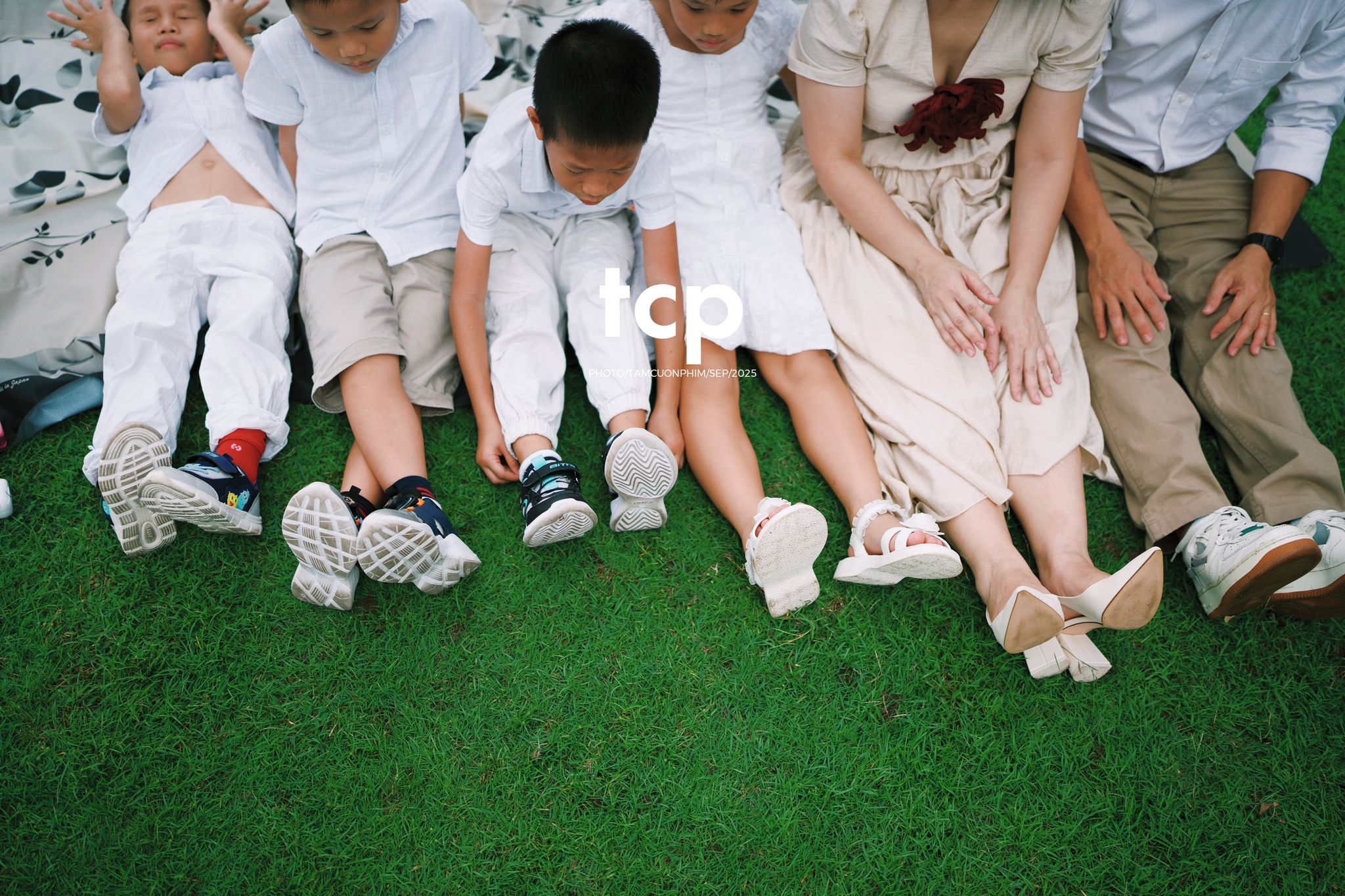 Tám Cuộn Phim - Nhịp điệu xanh và những mảnh ghép đời thường