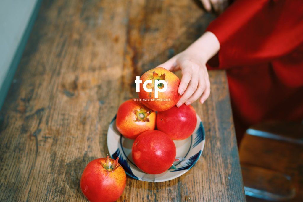 Tám Cuộn Phim - Có ai còn nhớ cái cảm giác xách đèn lồng đi chơi đêm trăng tròn không?
