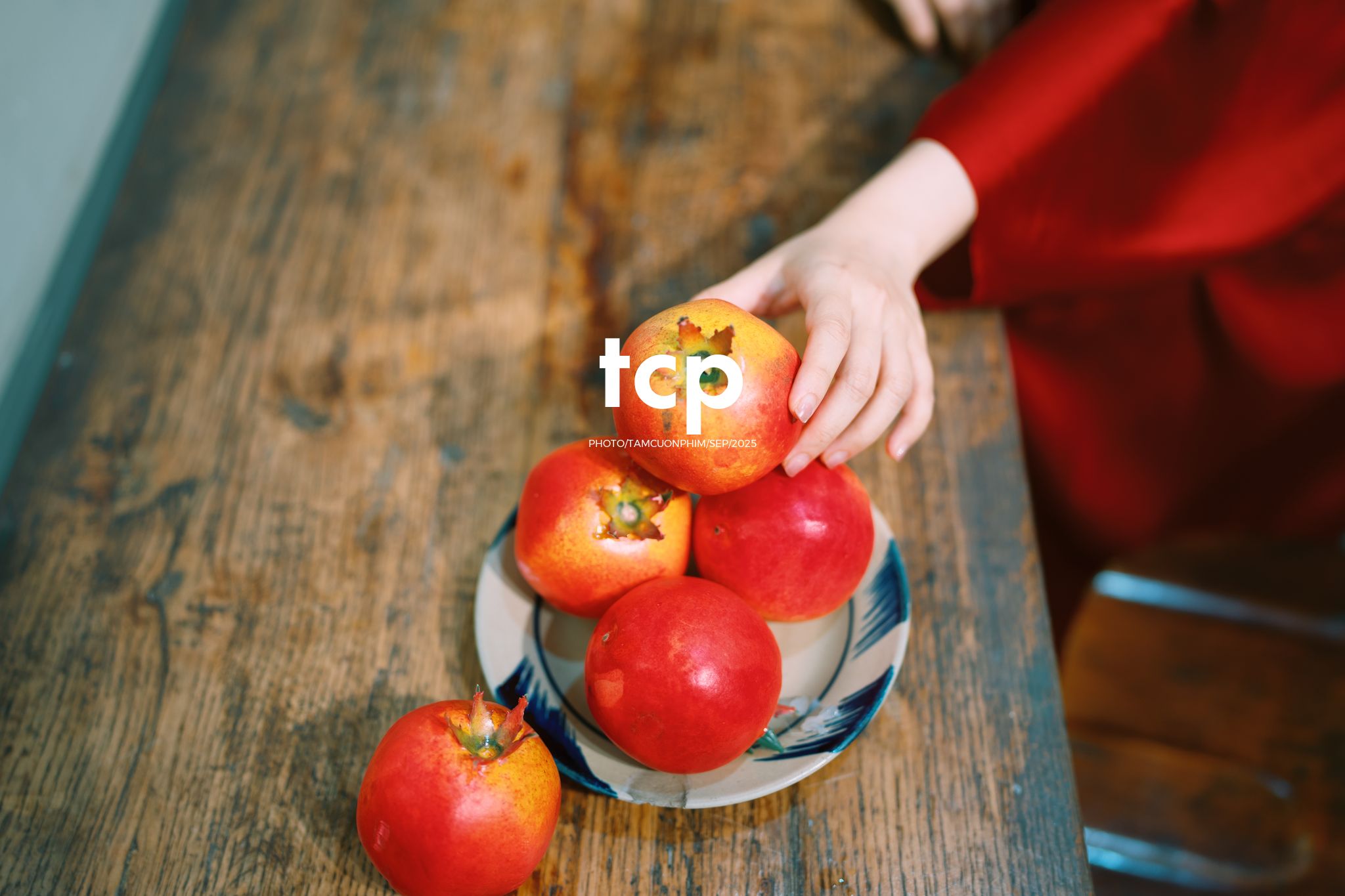 Tám Cuộn Phim - Có ai còn nhớ cái cảm giác xách đèn lồng đi chơi đêm trăng tròn không?