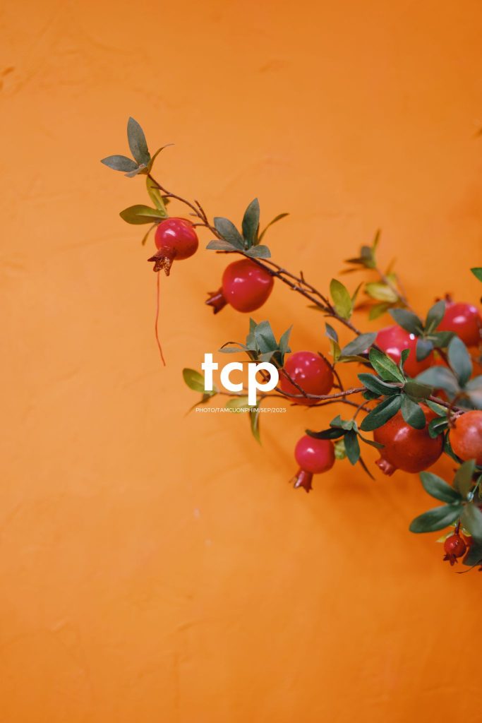 Tám Cuộn Phim - Góc nhỏ bình yên mùa đoàn viên