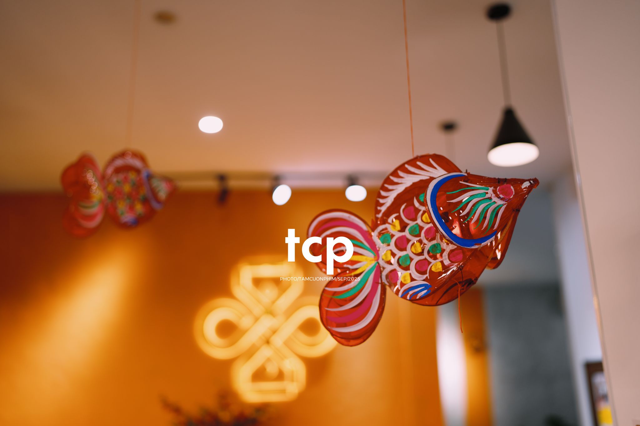 Tám Cuộn Phim - Góc nhỏ bình yên mùa đoàn viên