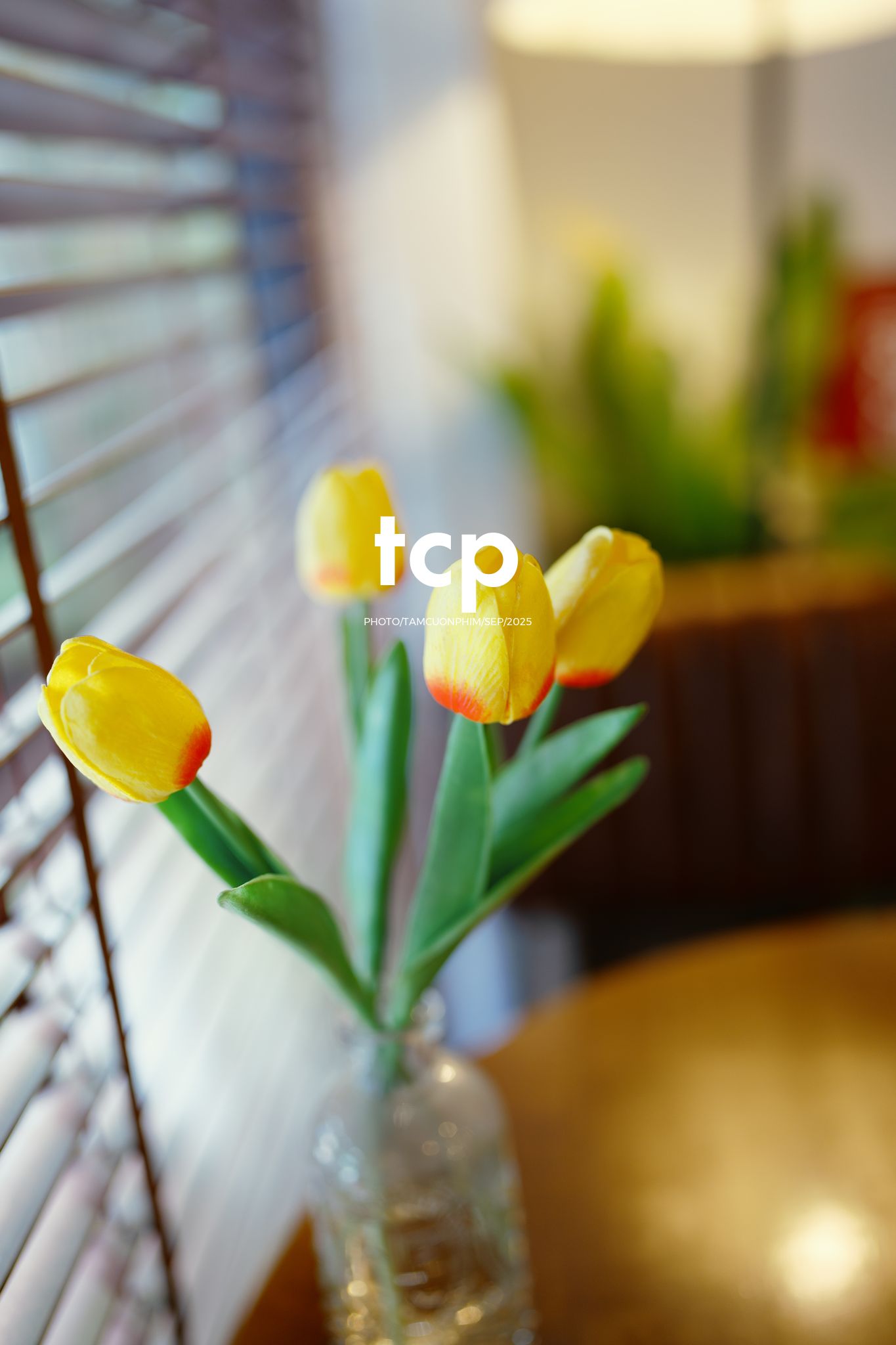 Tám Cuộn Phim - Góc nhỏ bình yên cho tâm hồn "ghiền" cafe